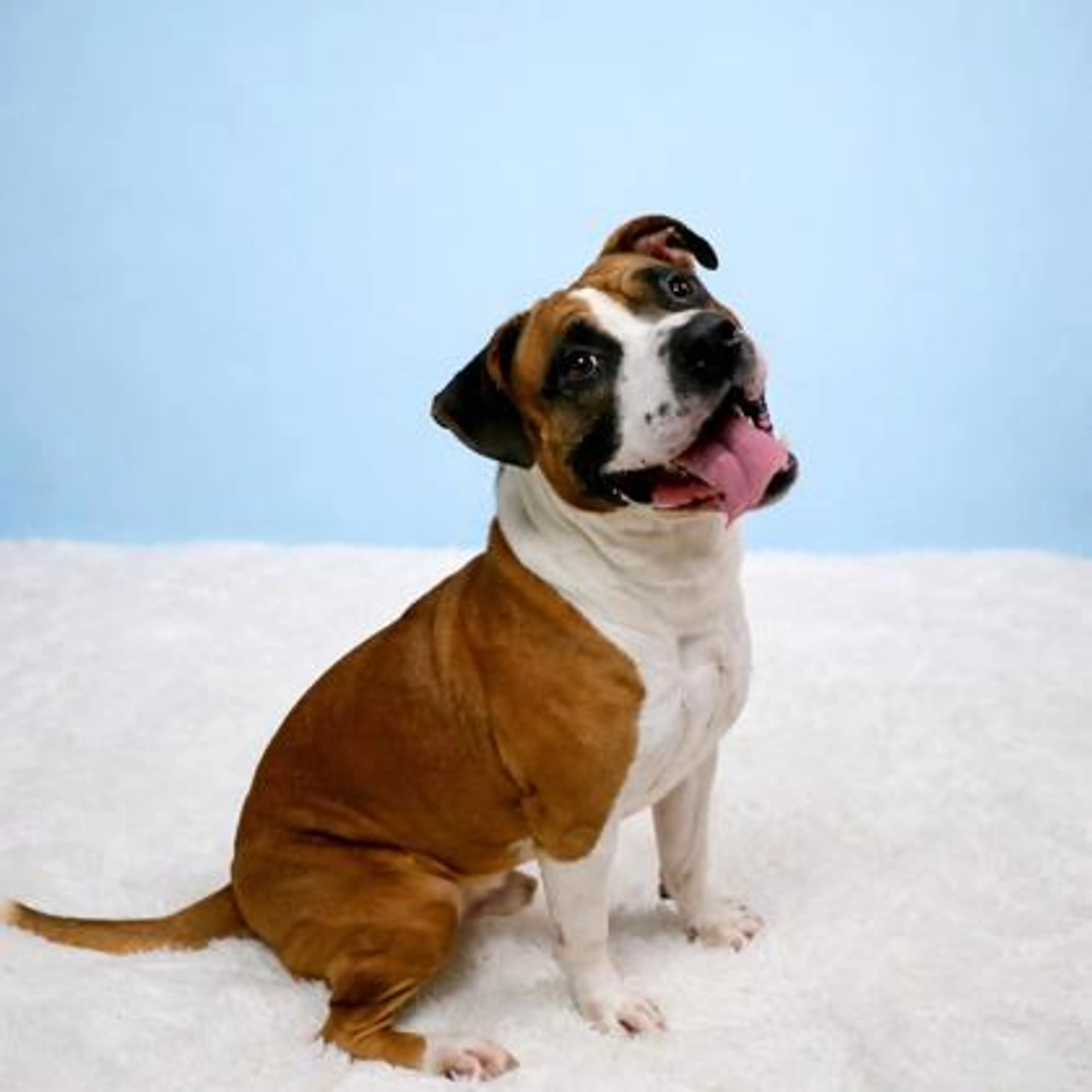 -1