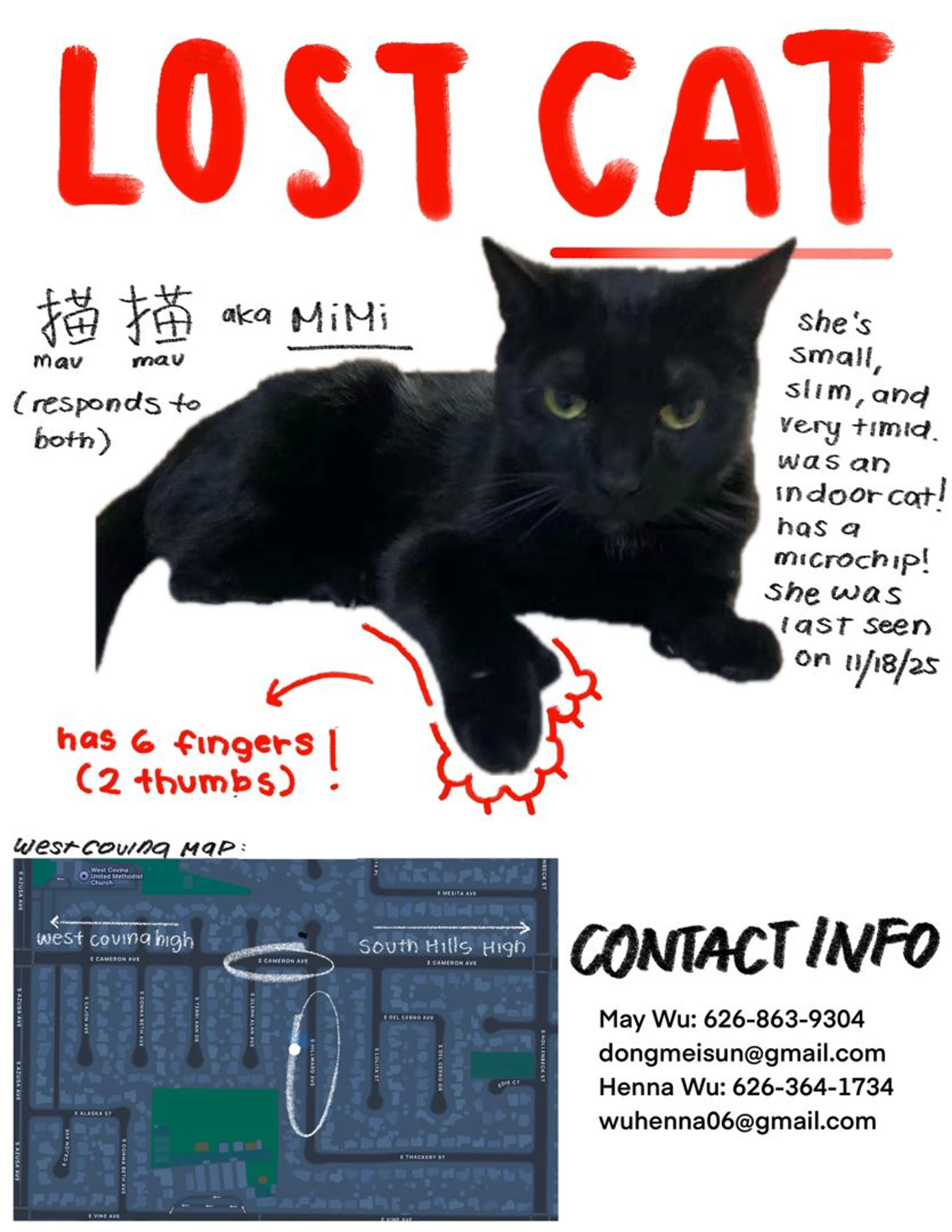 Lost pet-0
