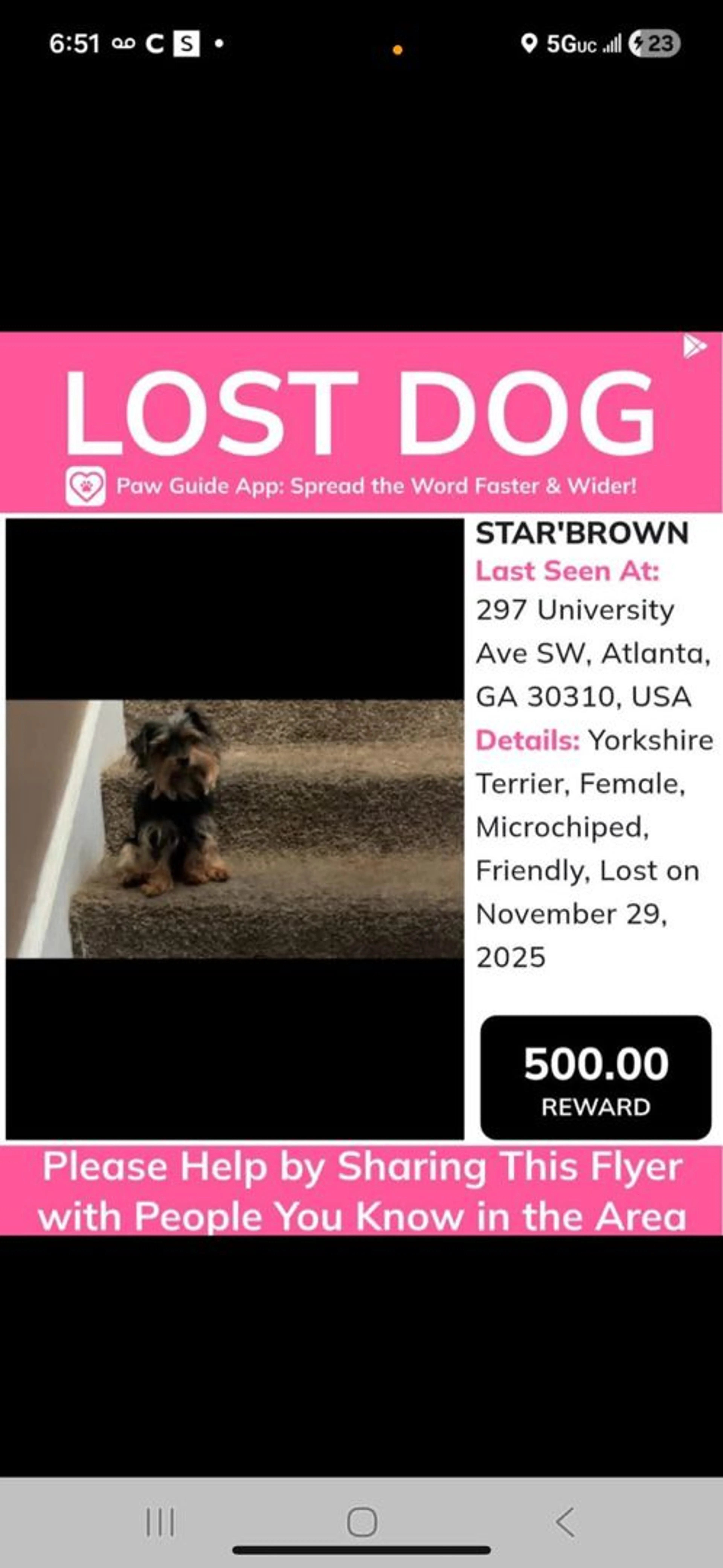 Lost pet