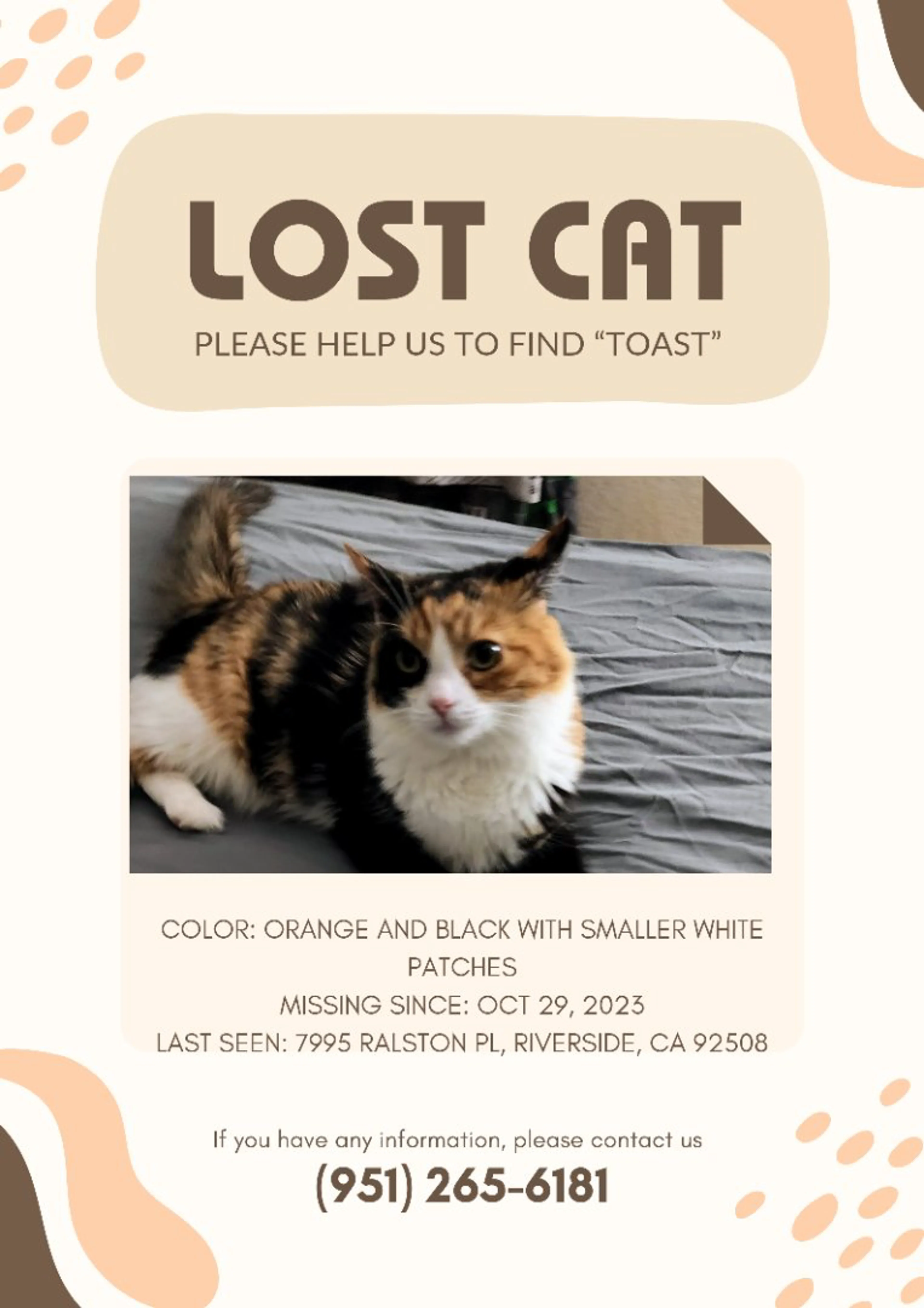 Lost pet-0