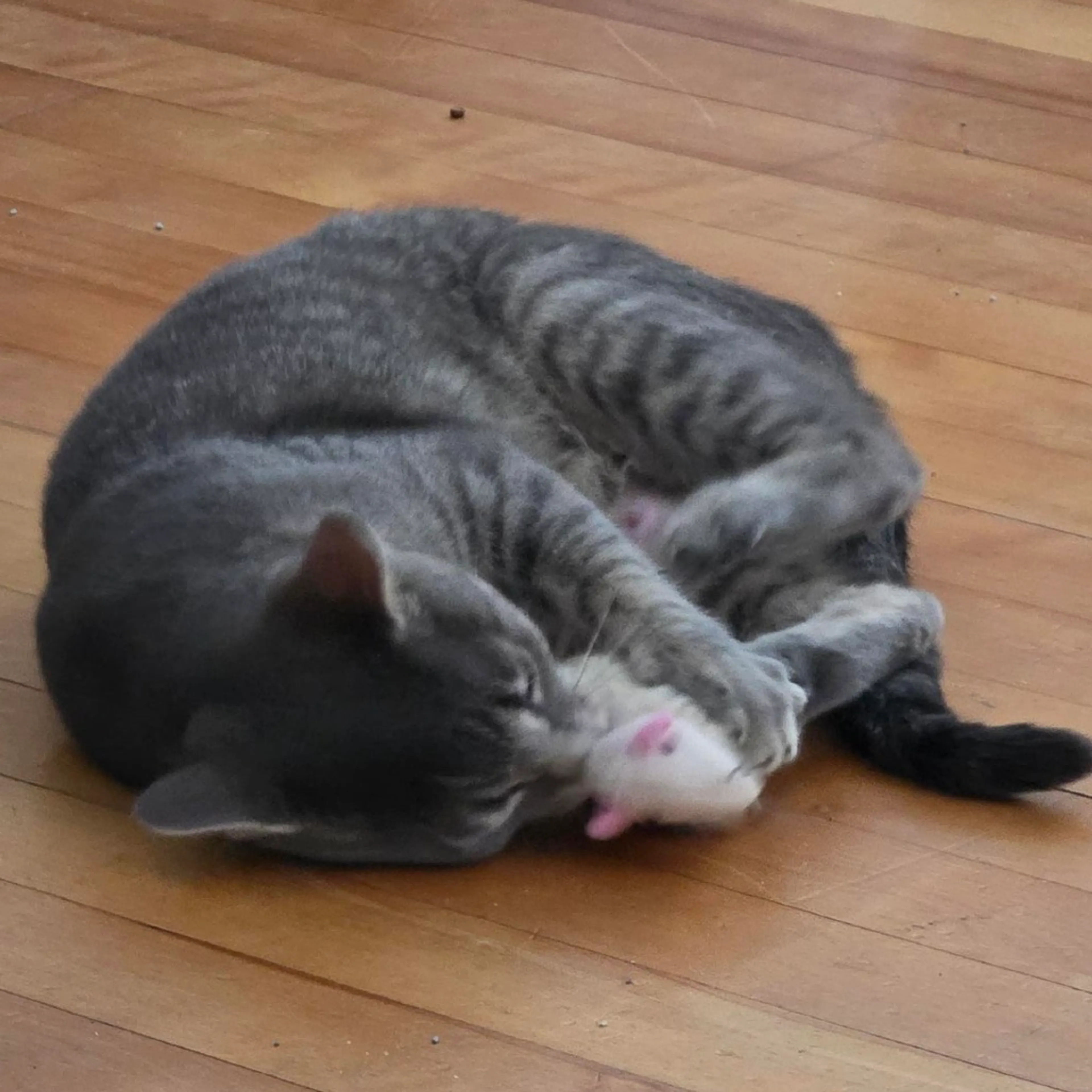 -11