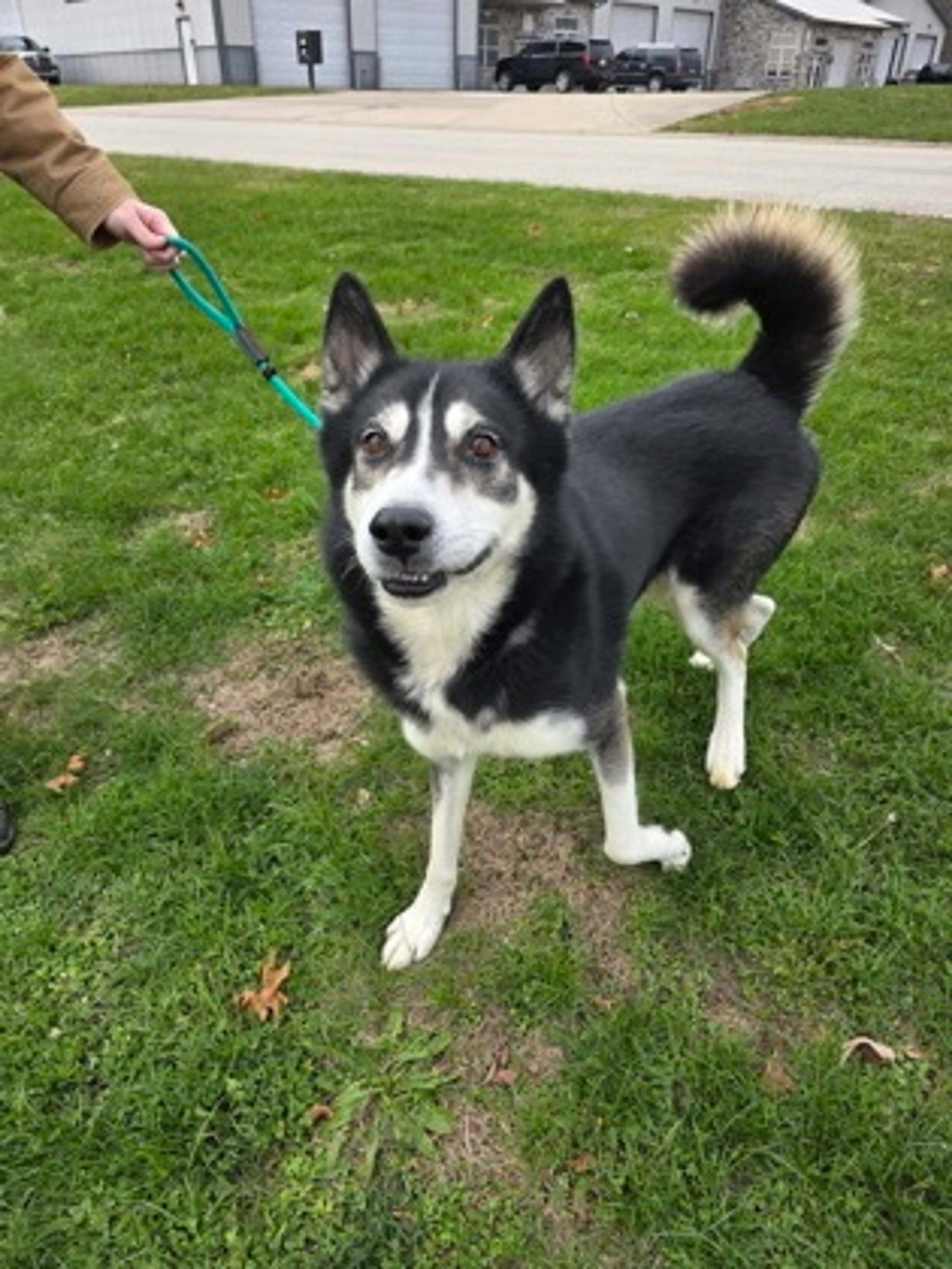 -1