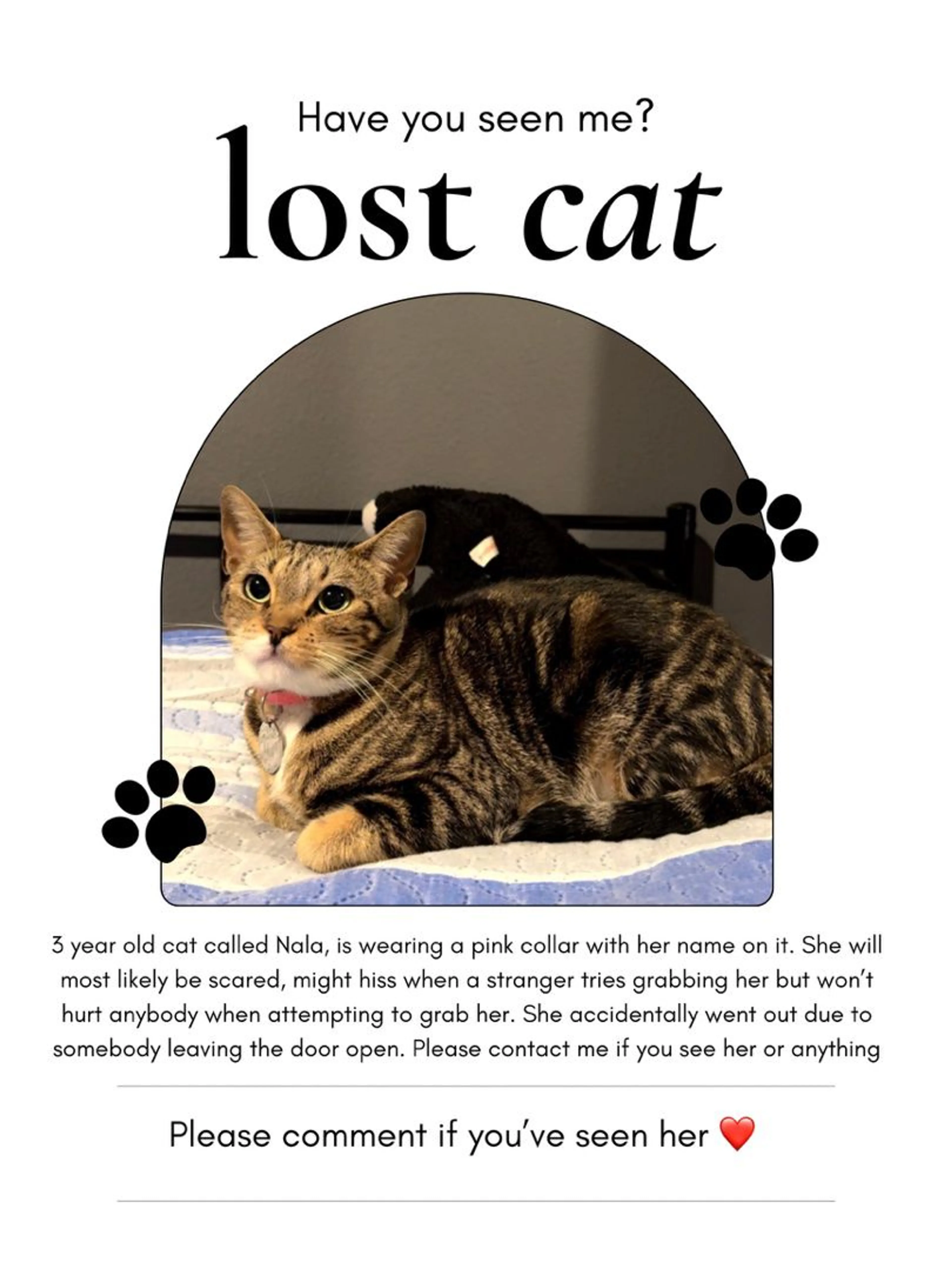Lost pet