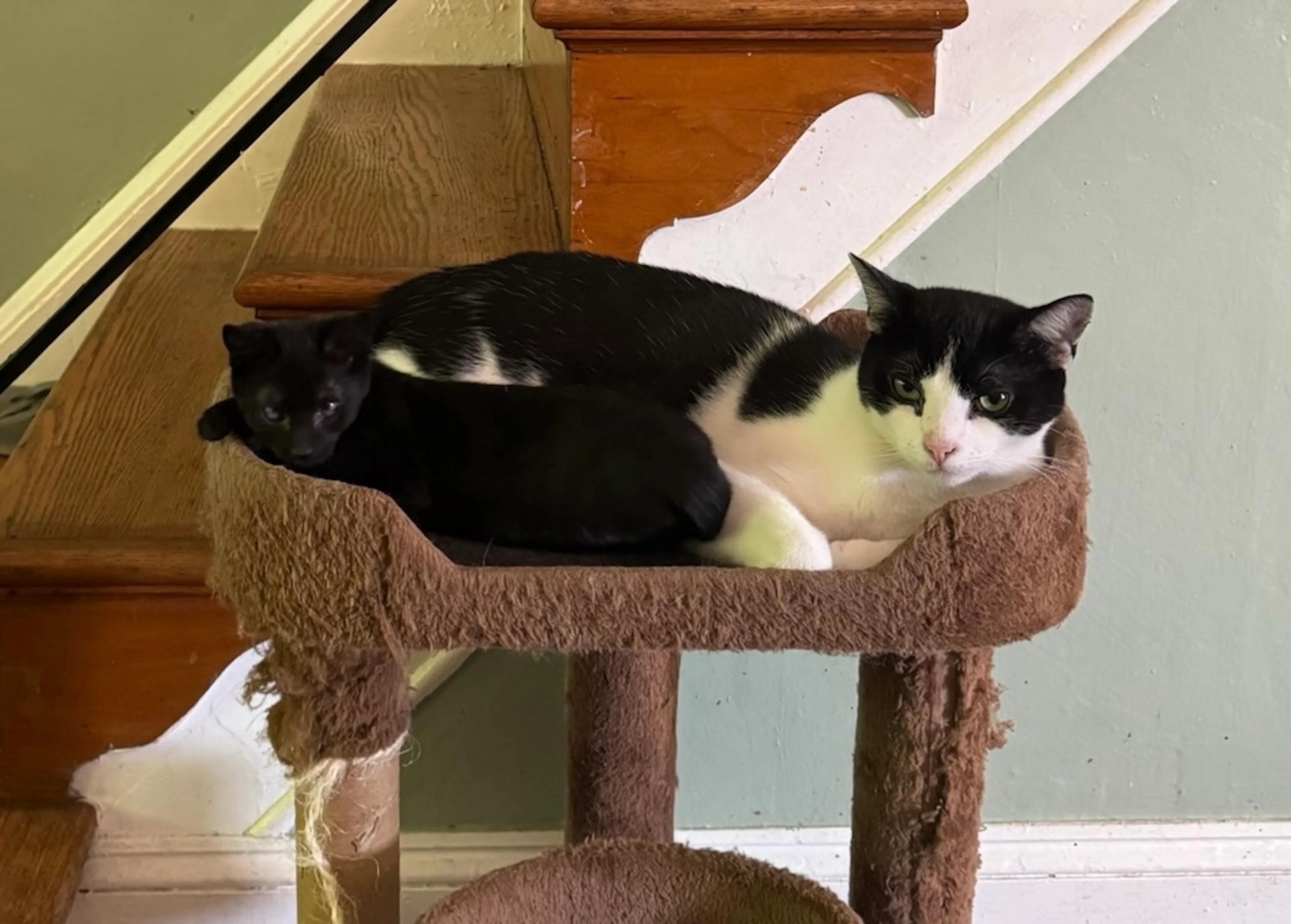 -2