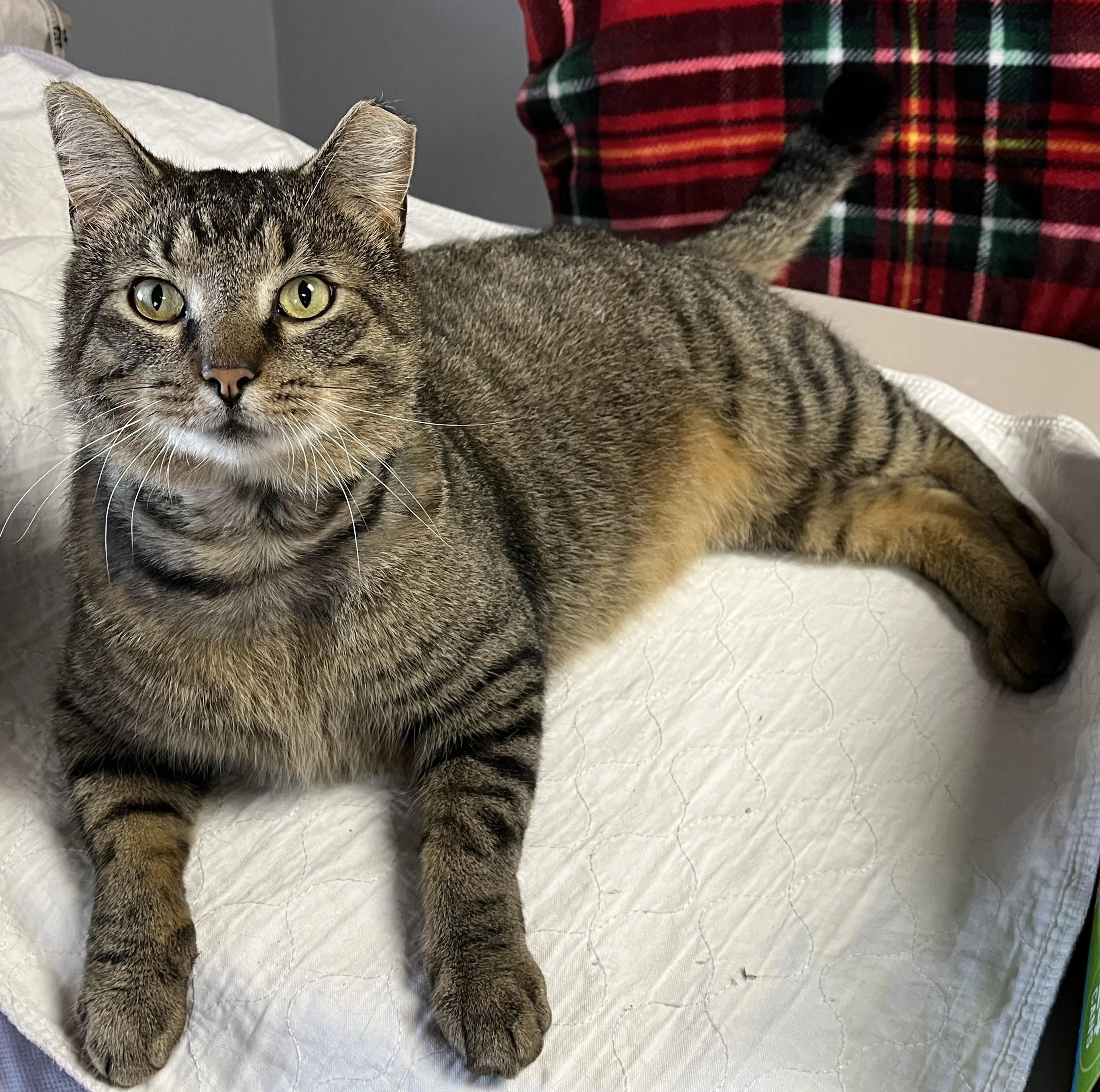-1