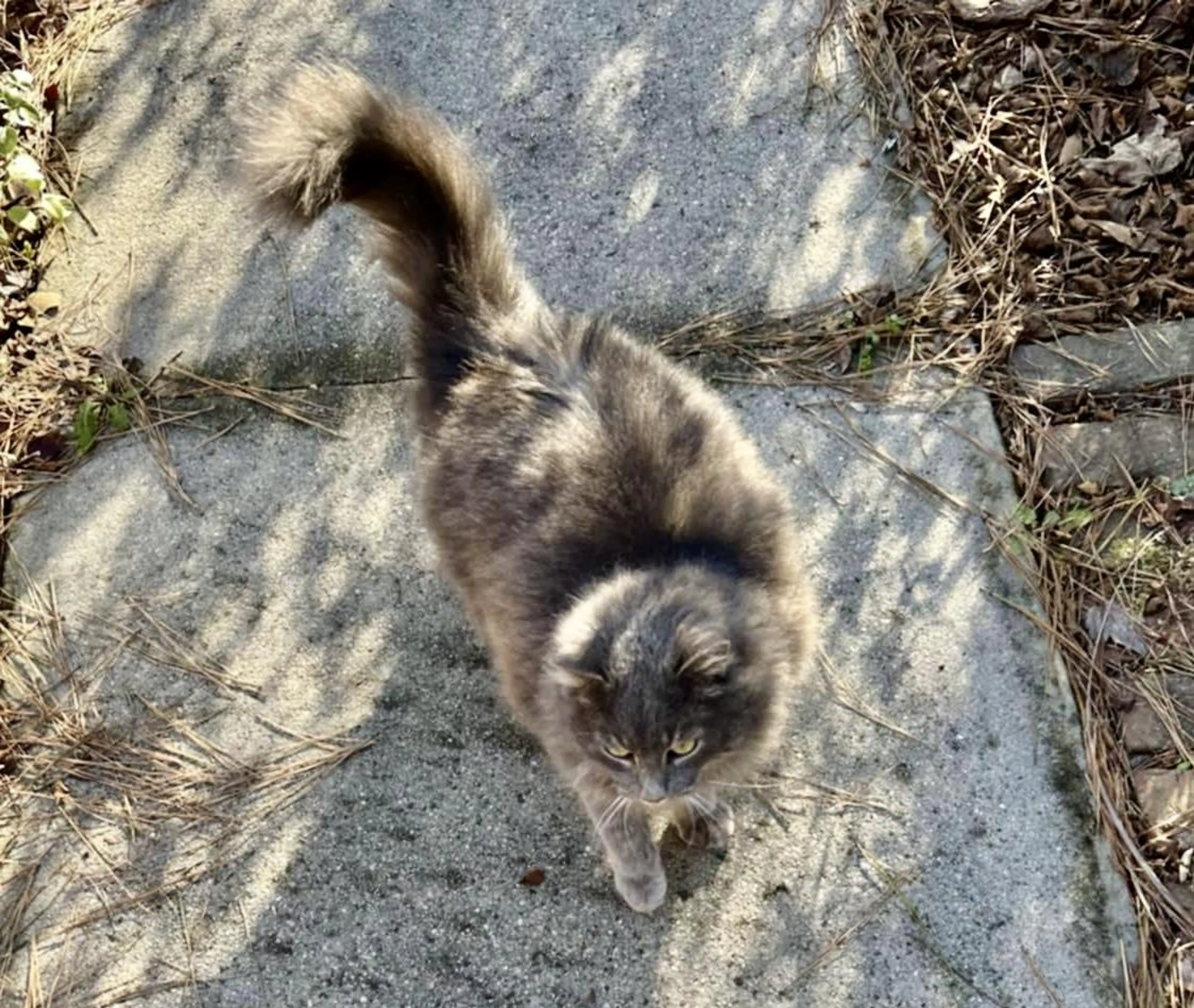 -3
