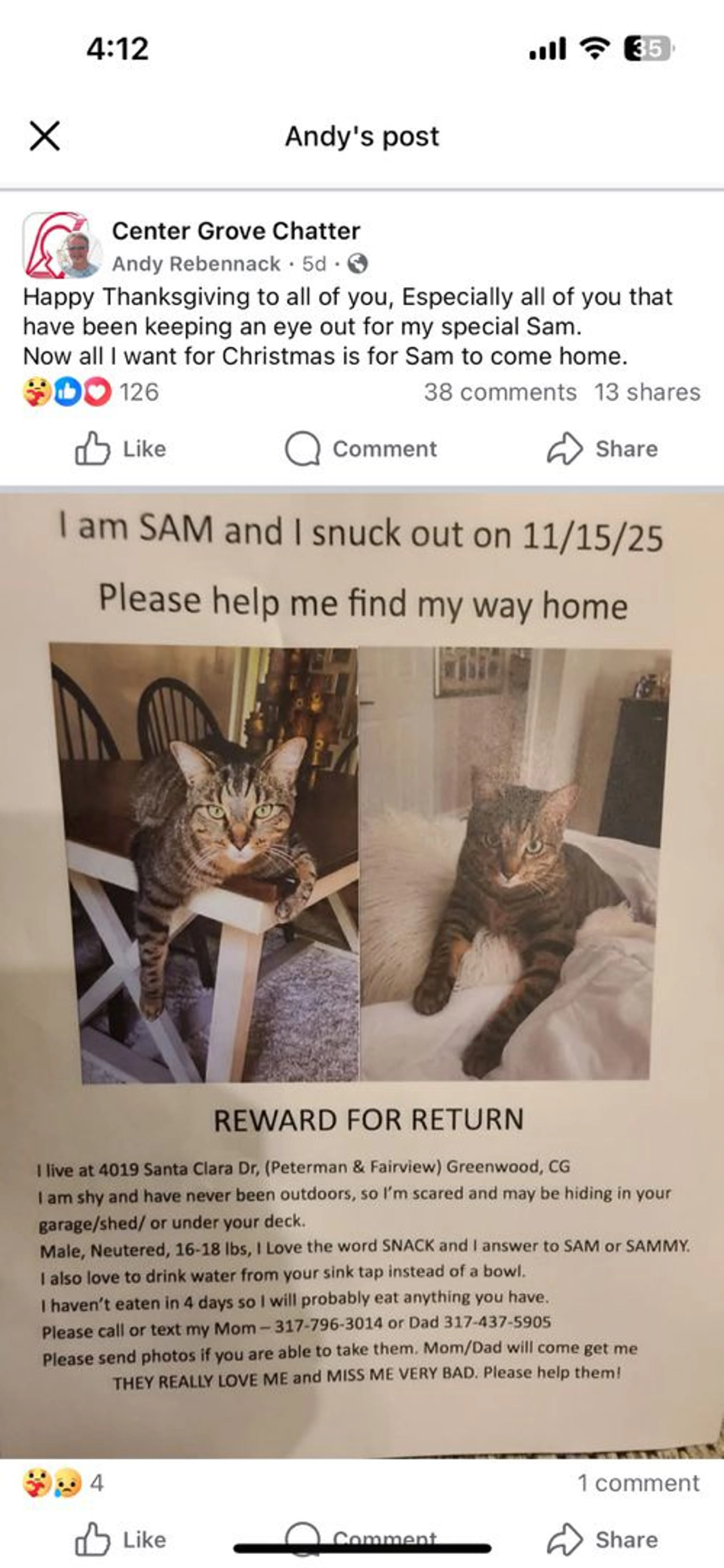 Lost pet
