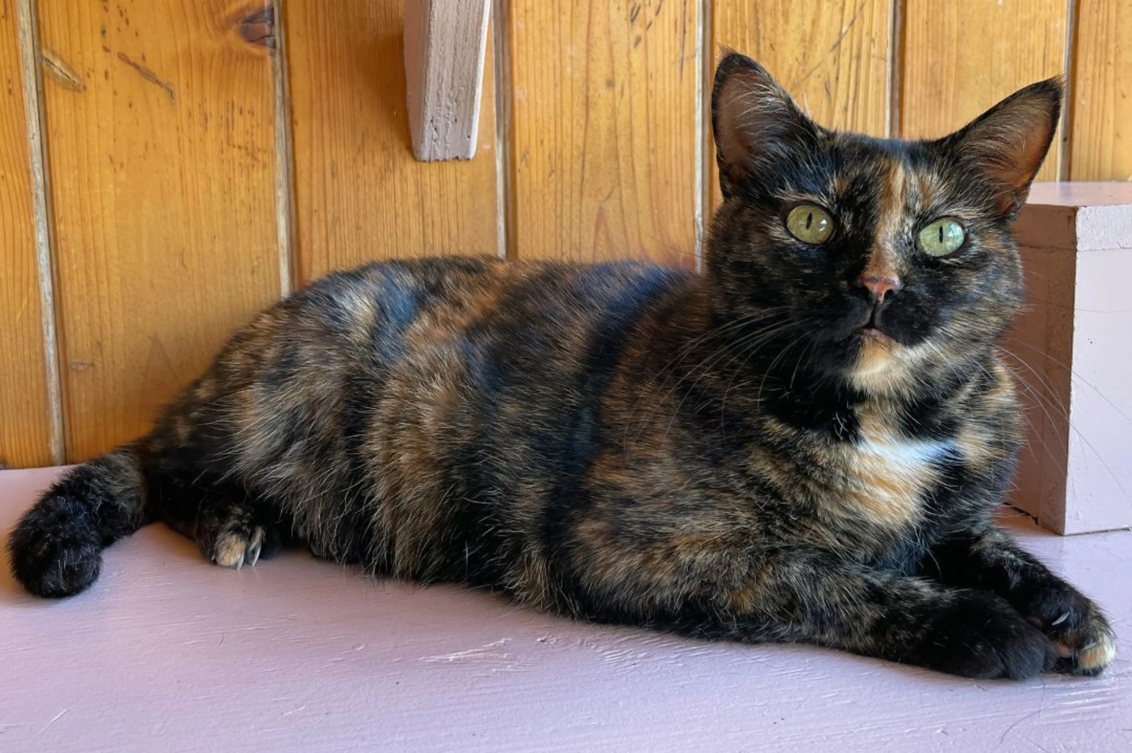 -3