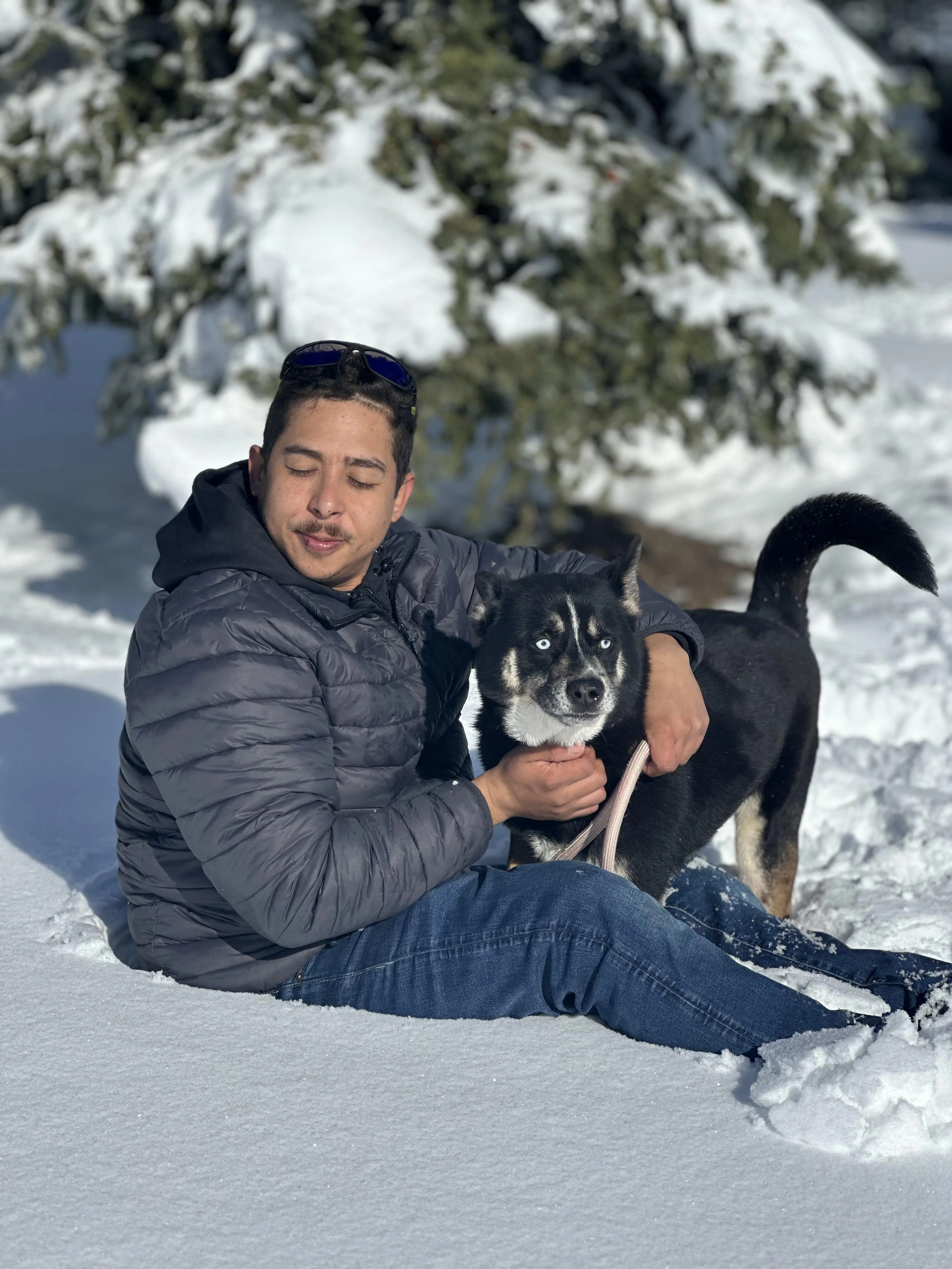 Found pet-0