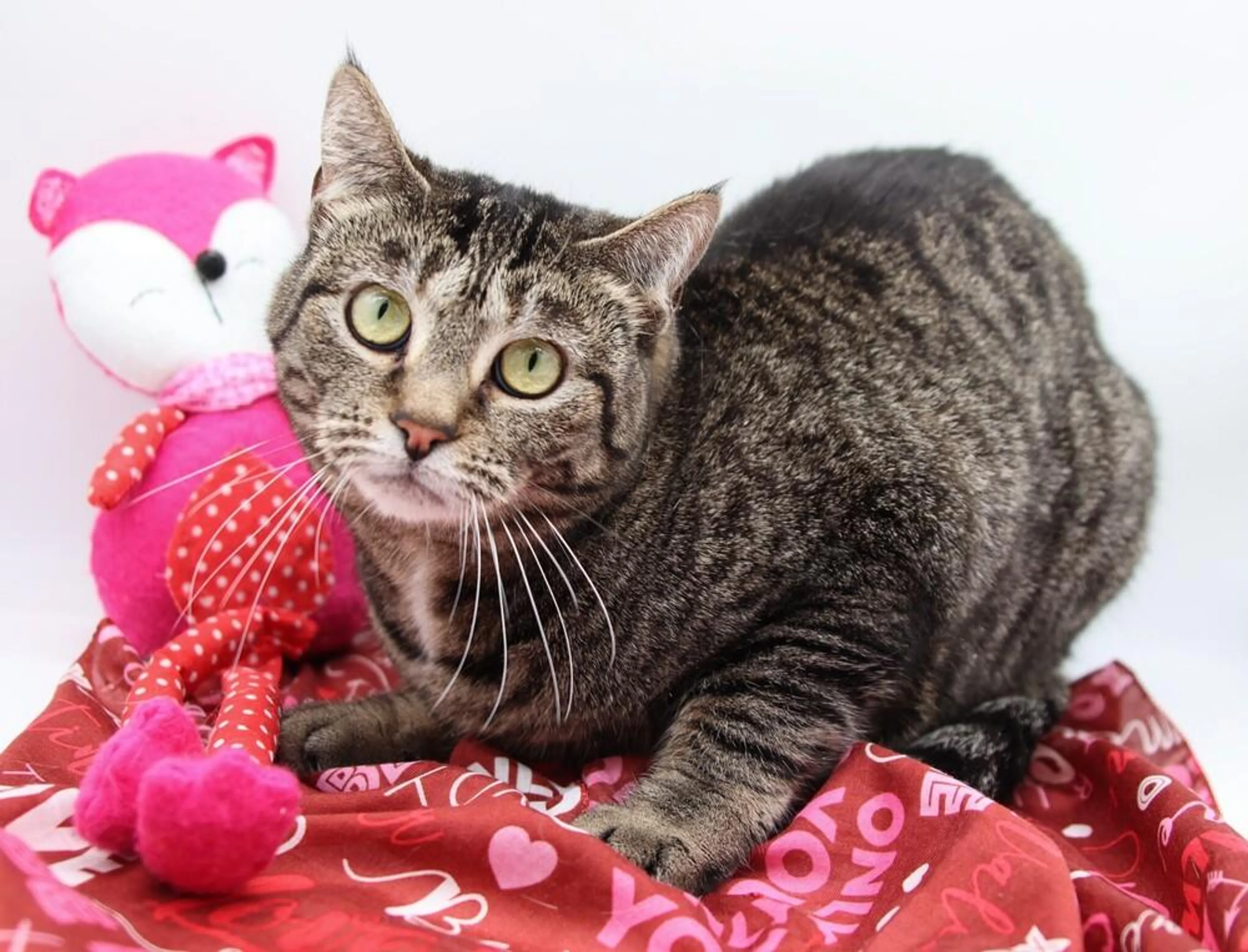 -0