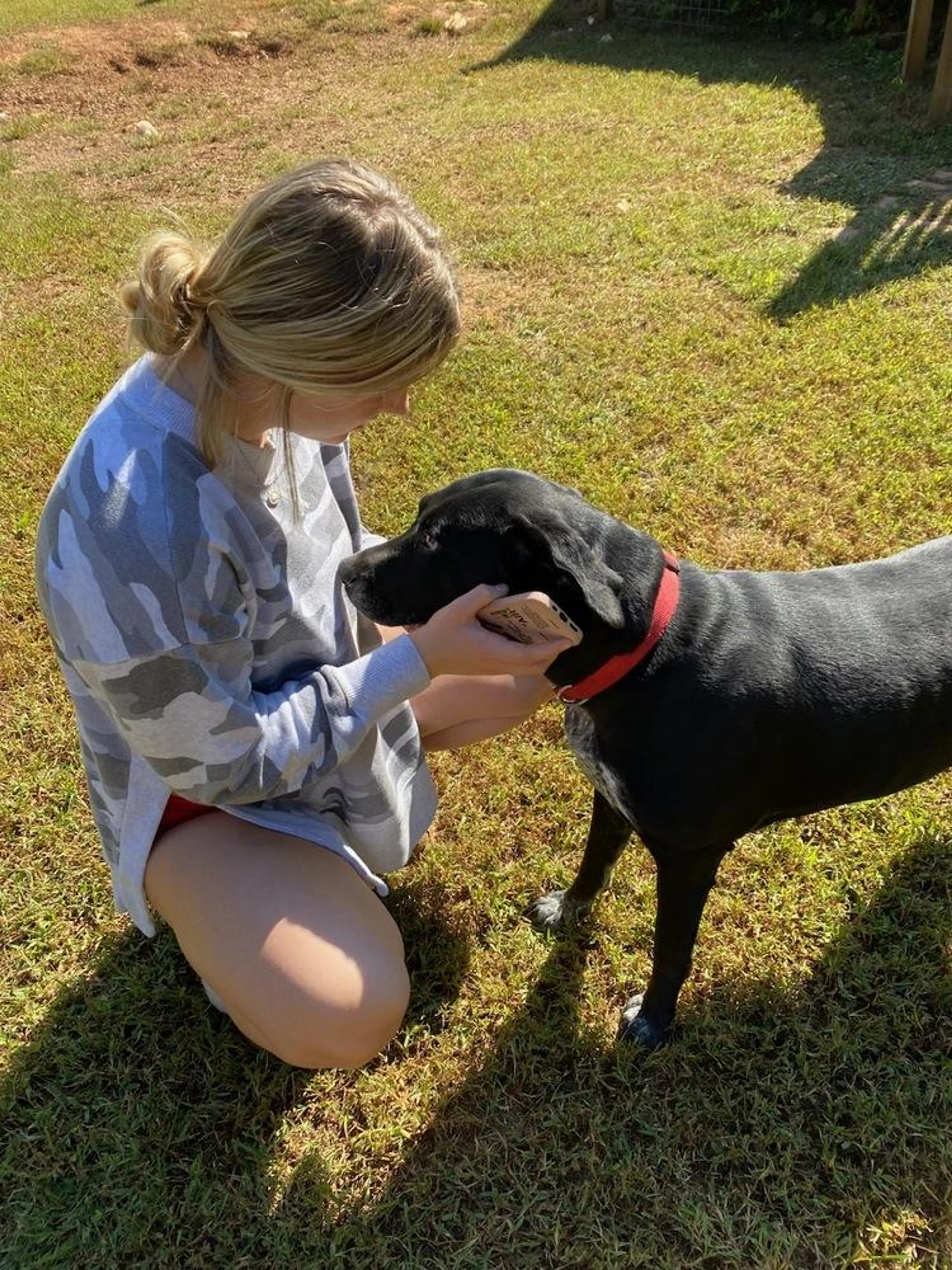 Found pet-2