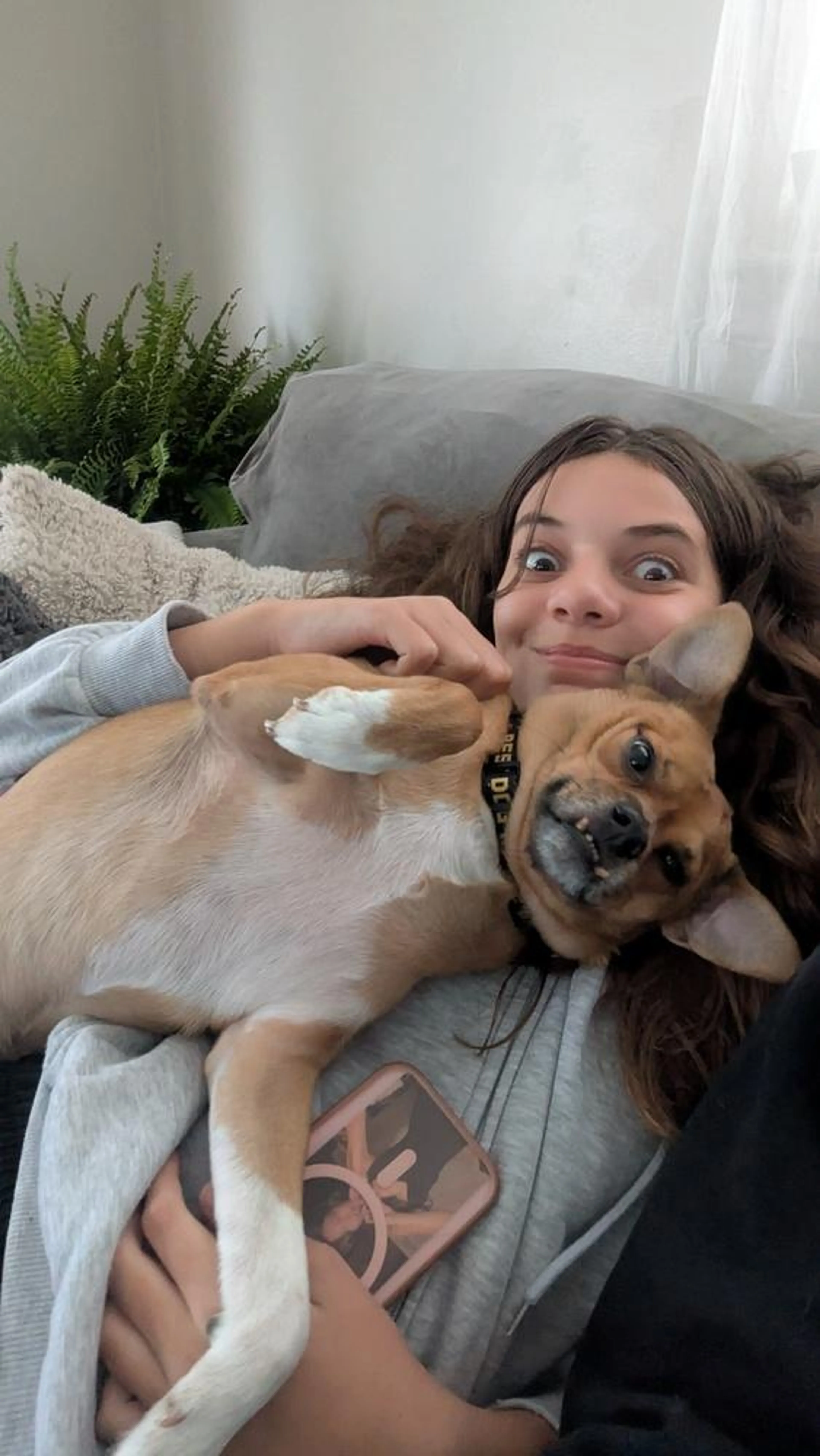 Found pet-3