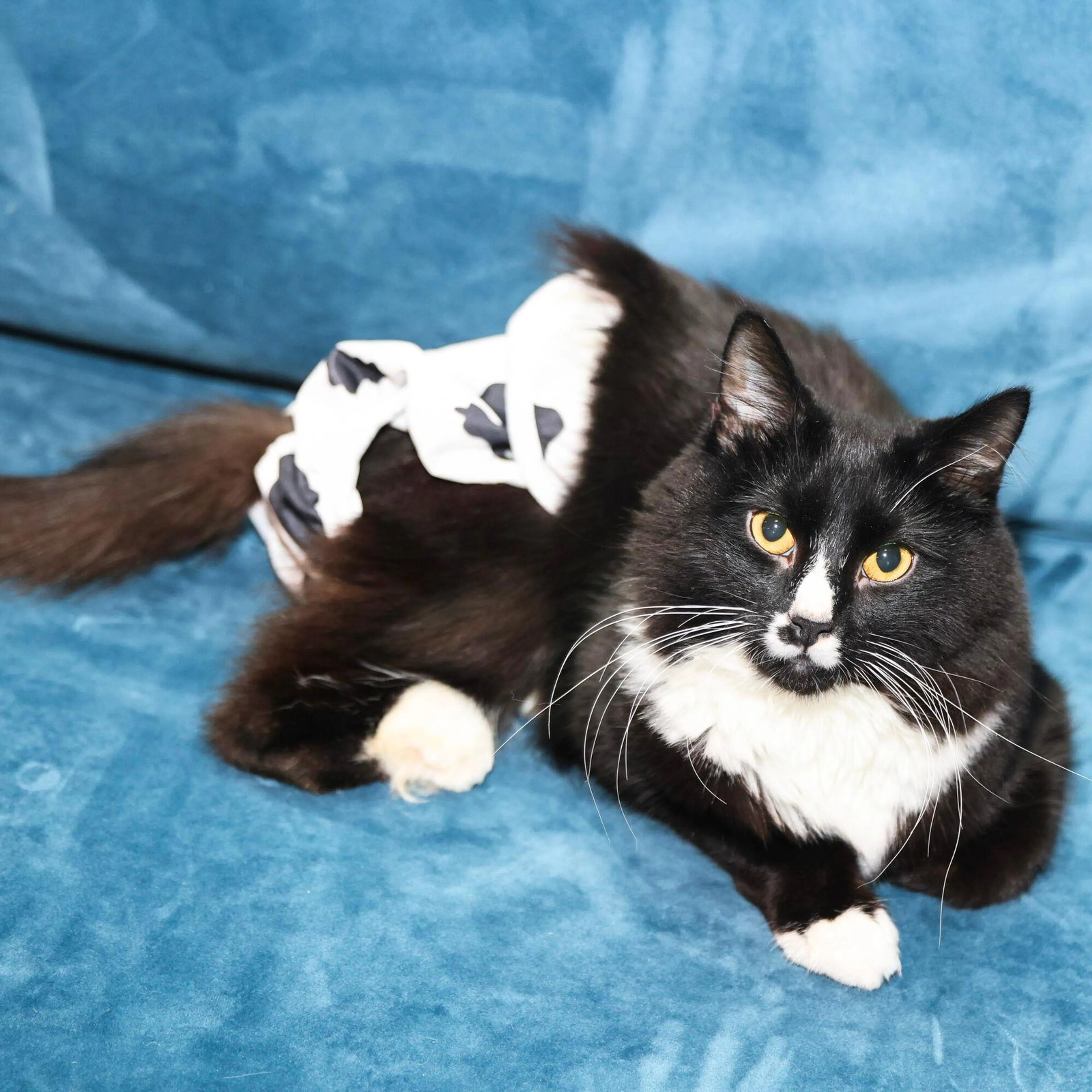 -2