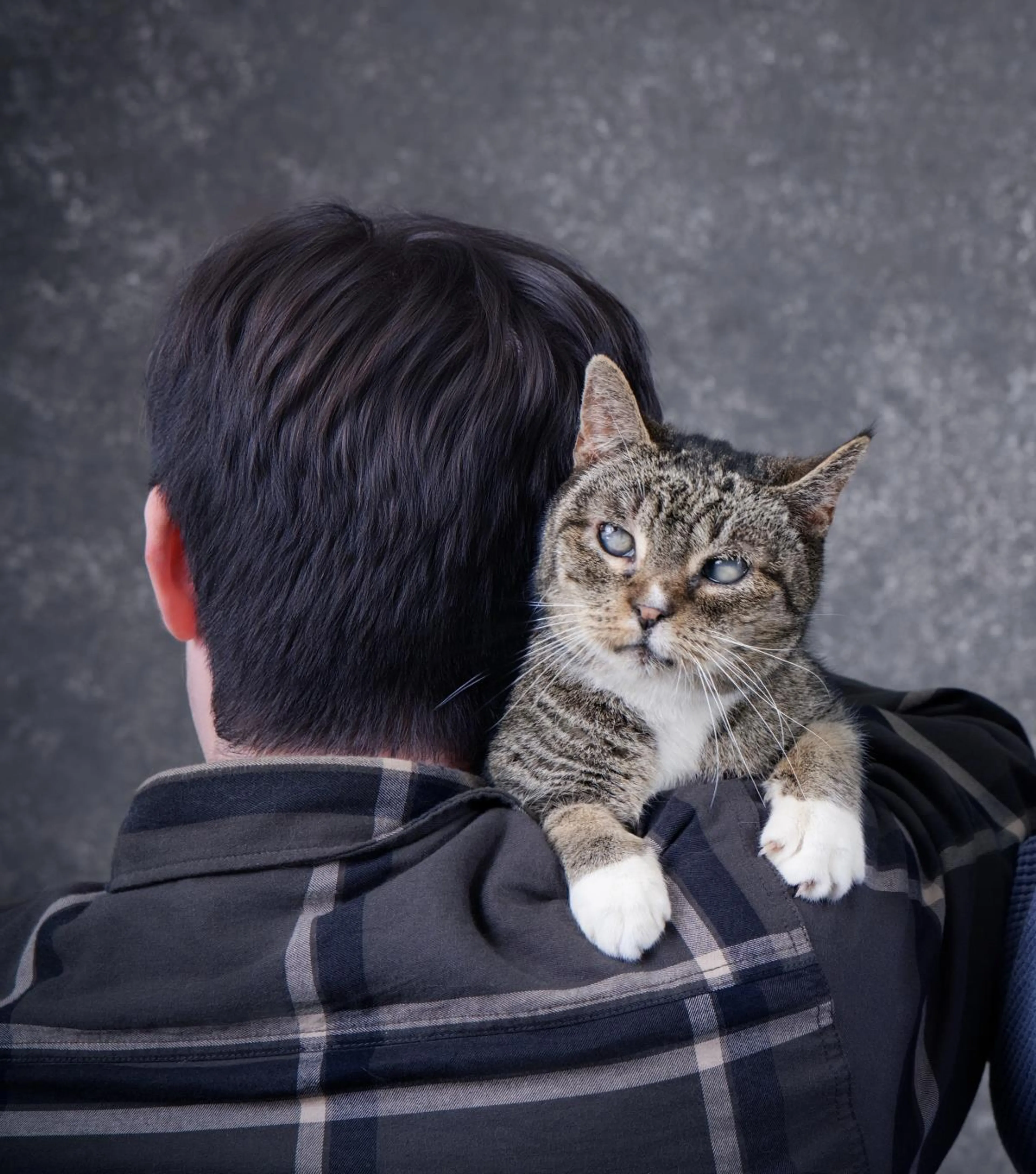 Found pet-1