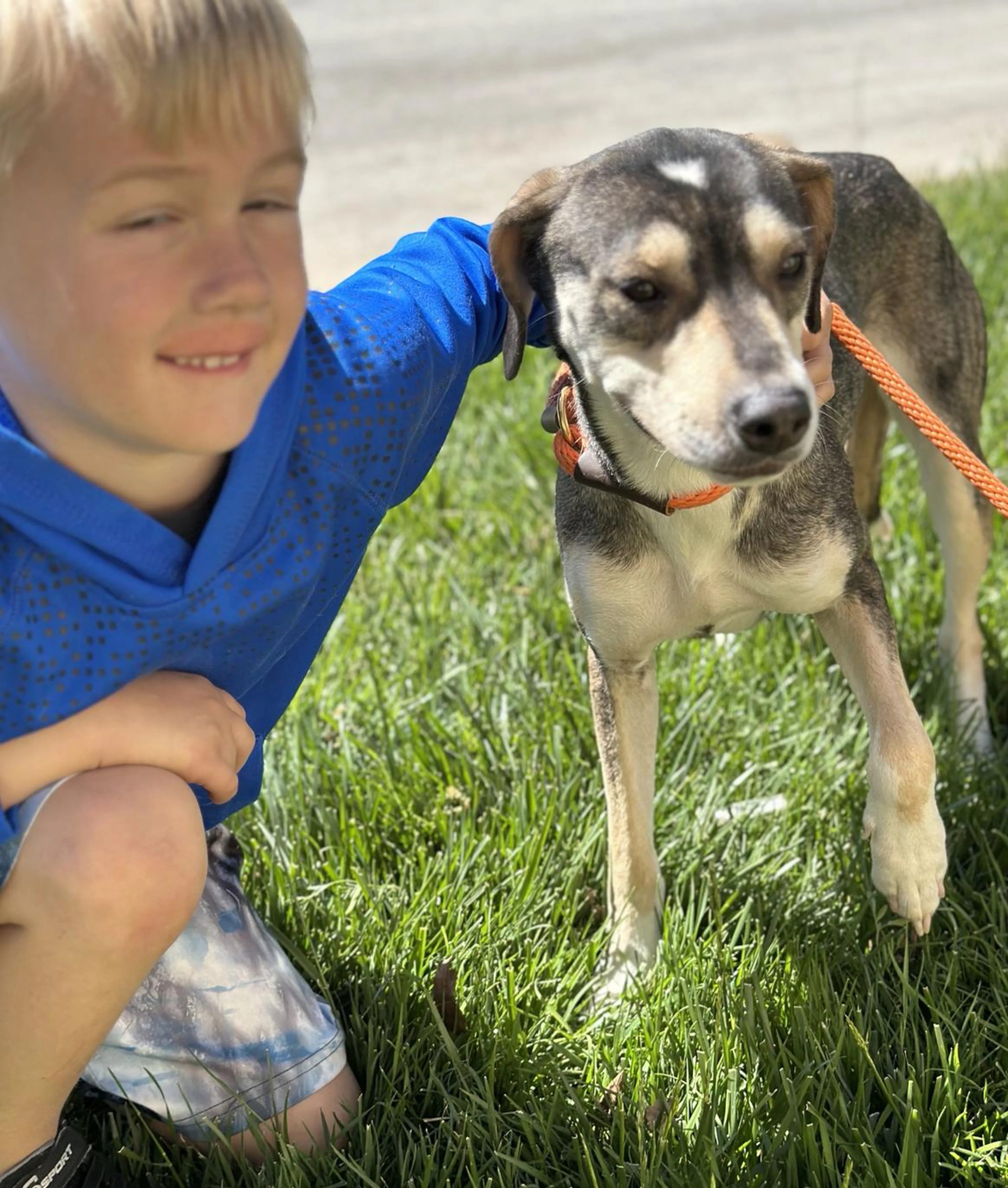 Found pet-2