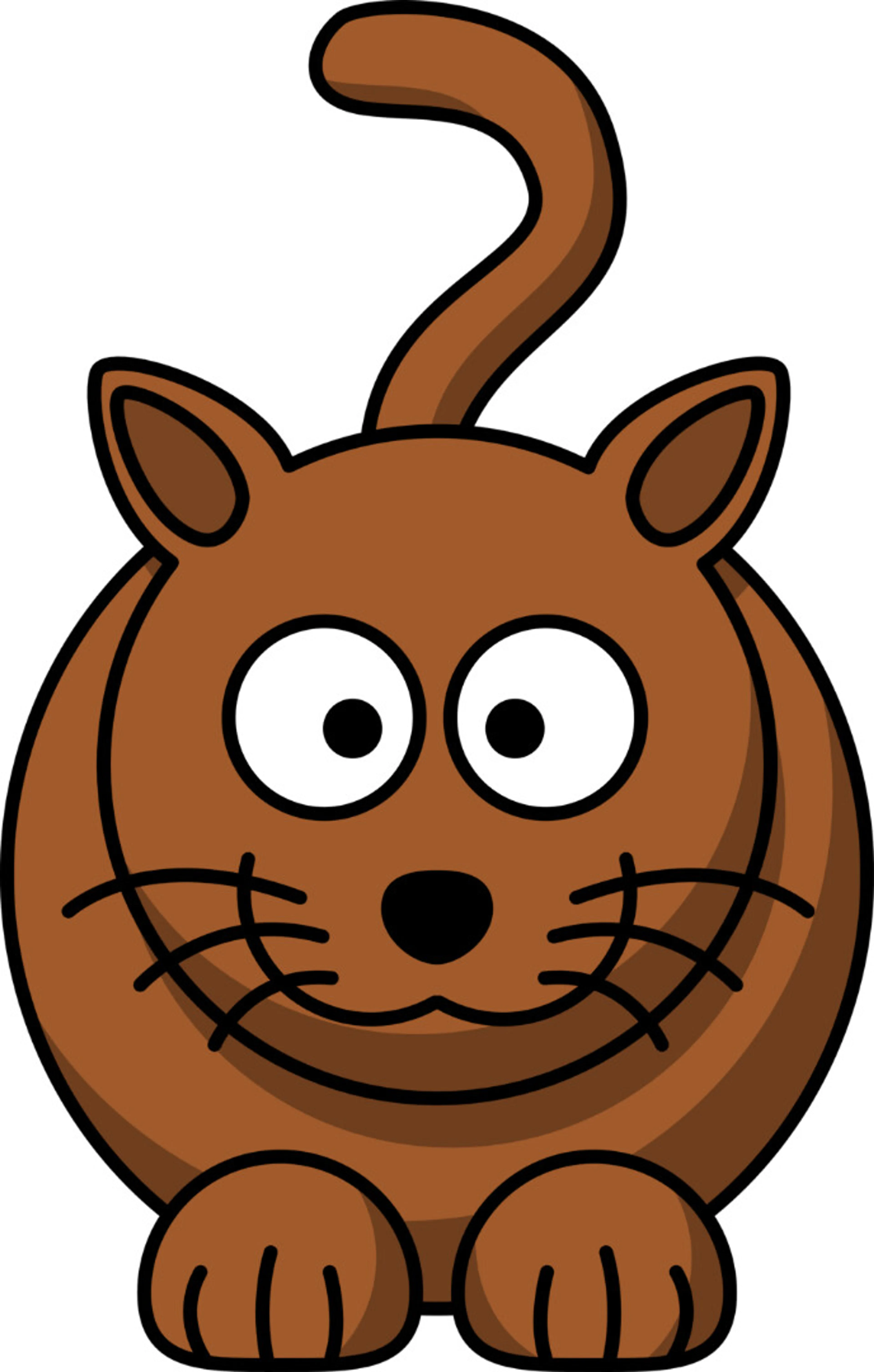 cdn image