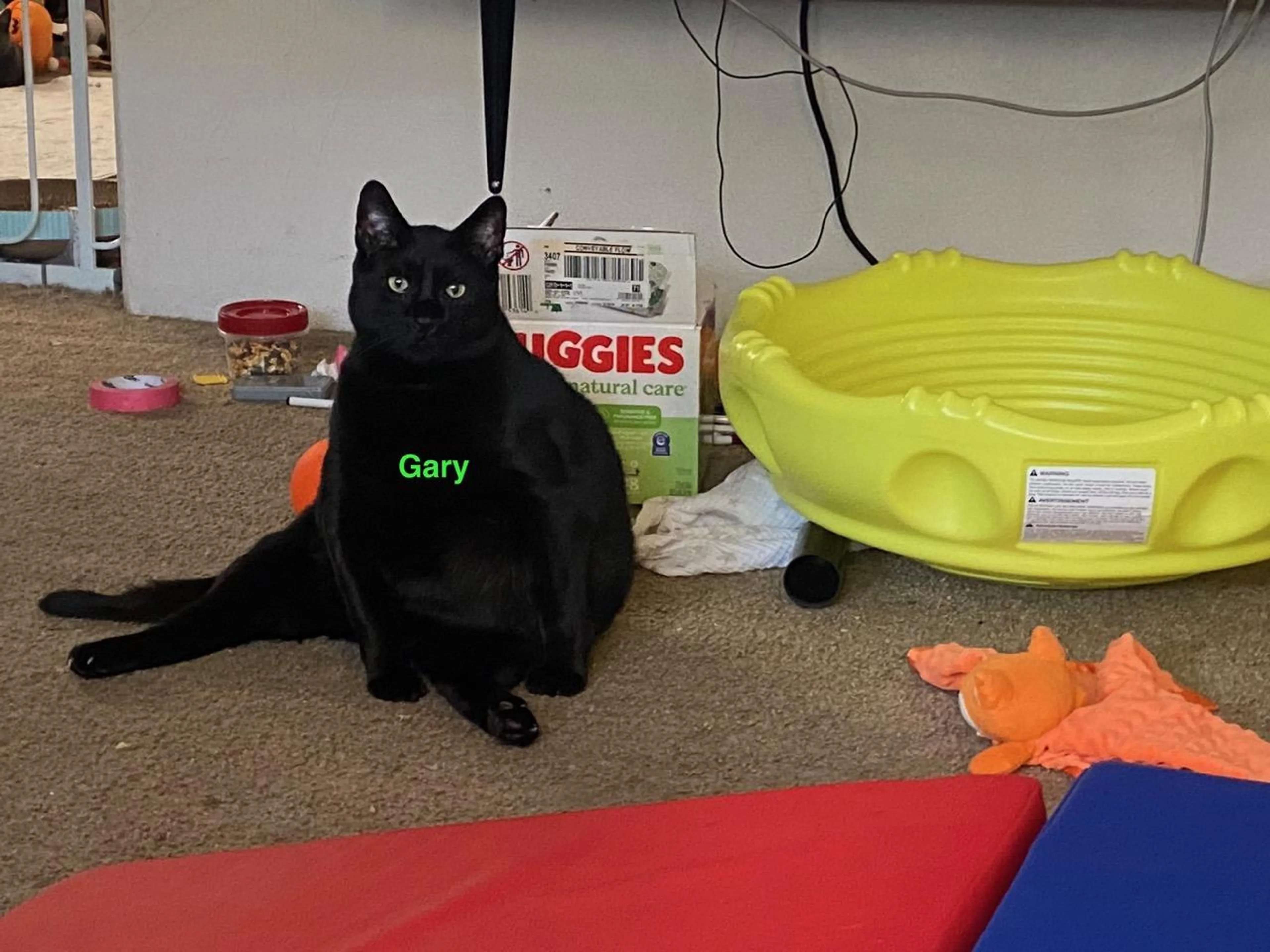 -5