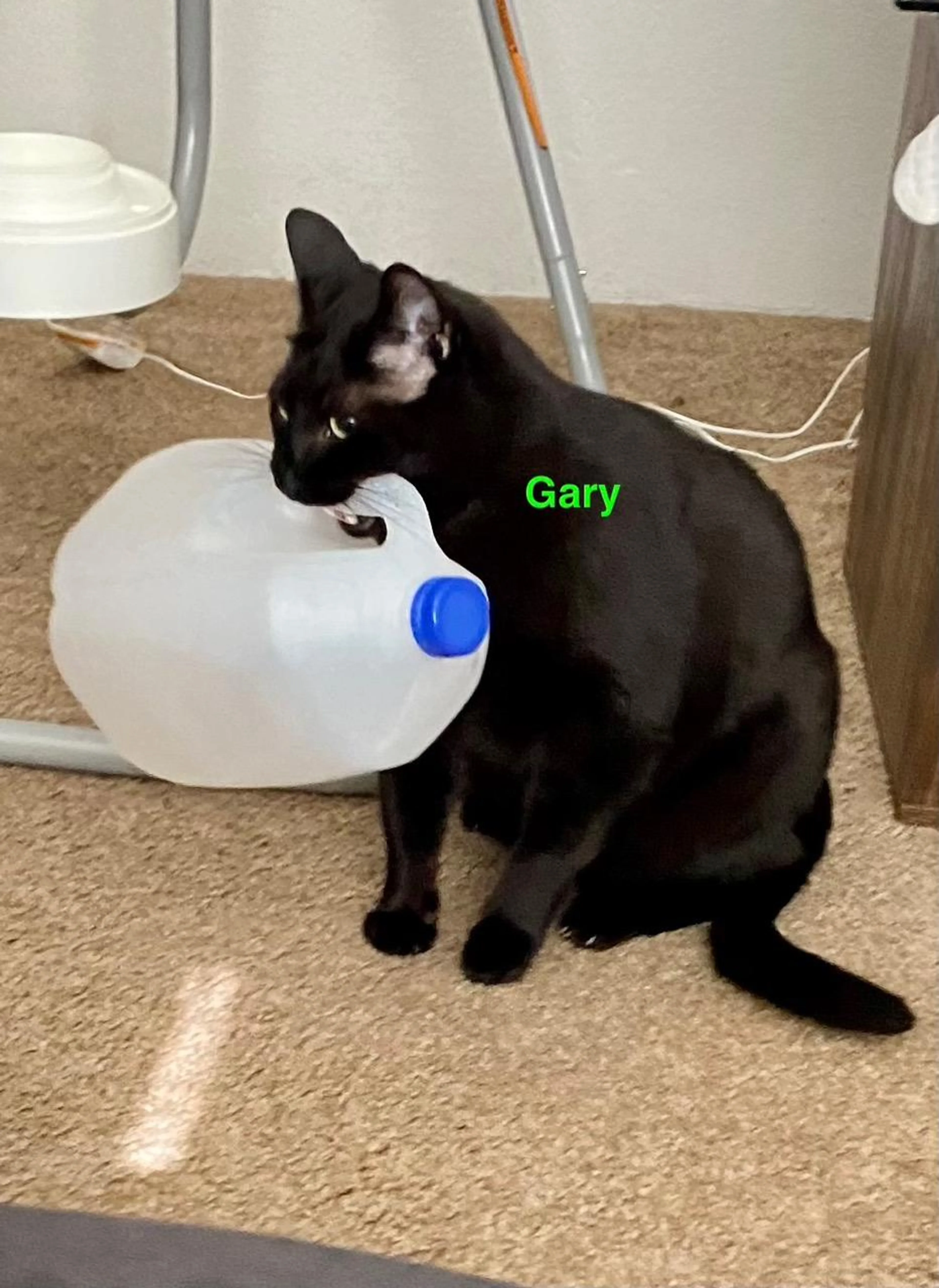 -0