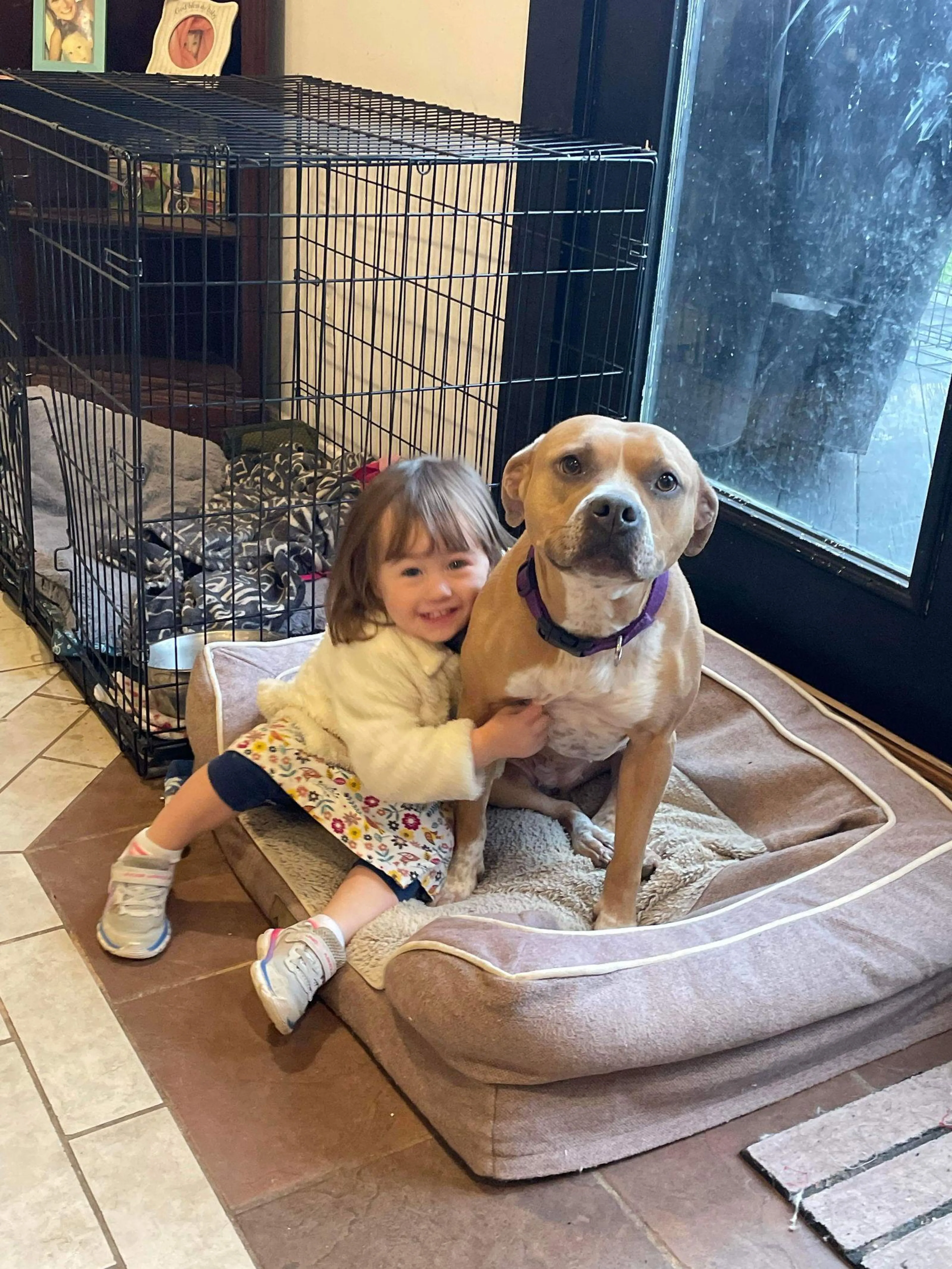Found pet-2