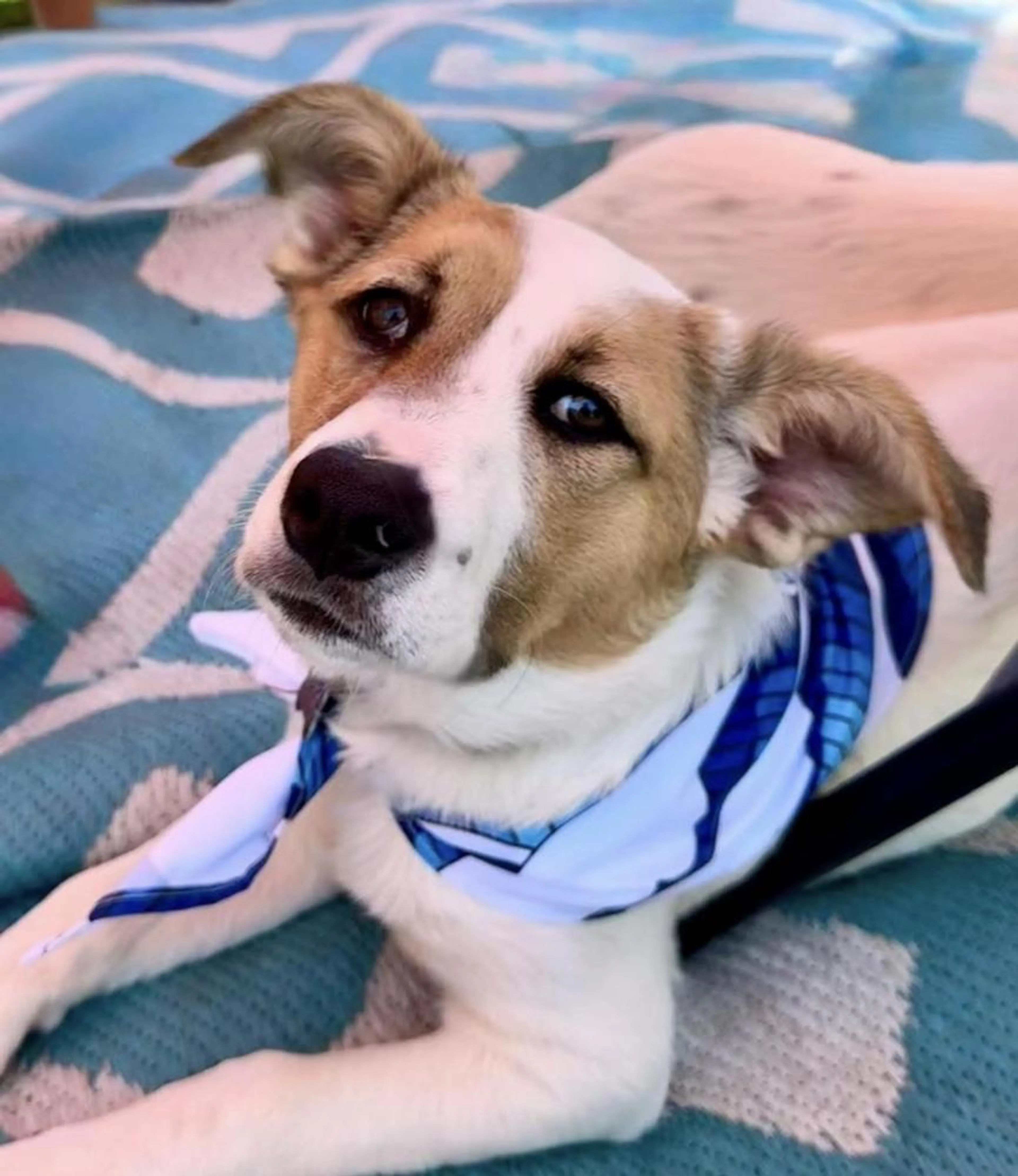 -5