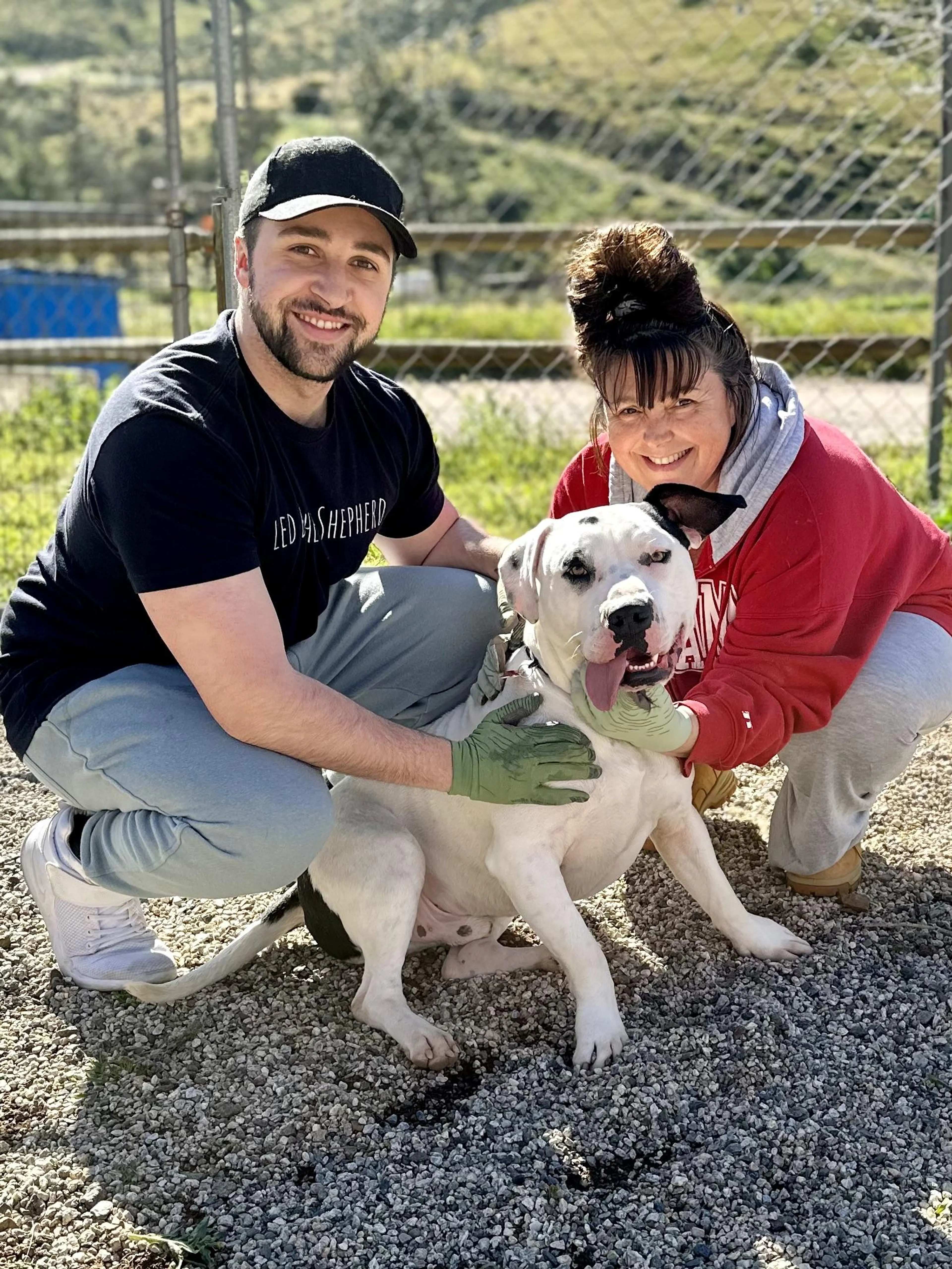 cdn image