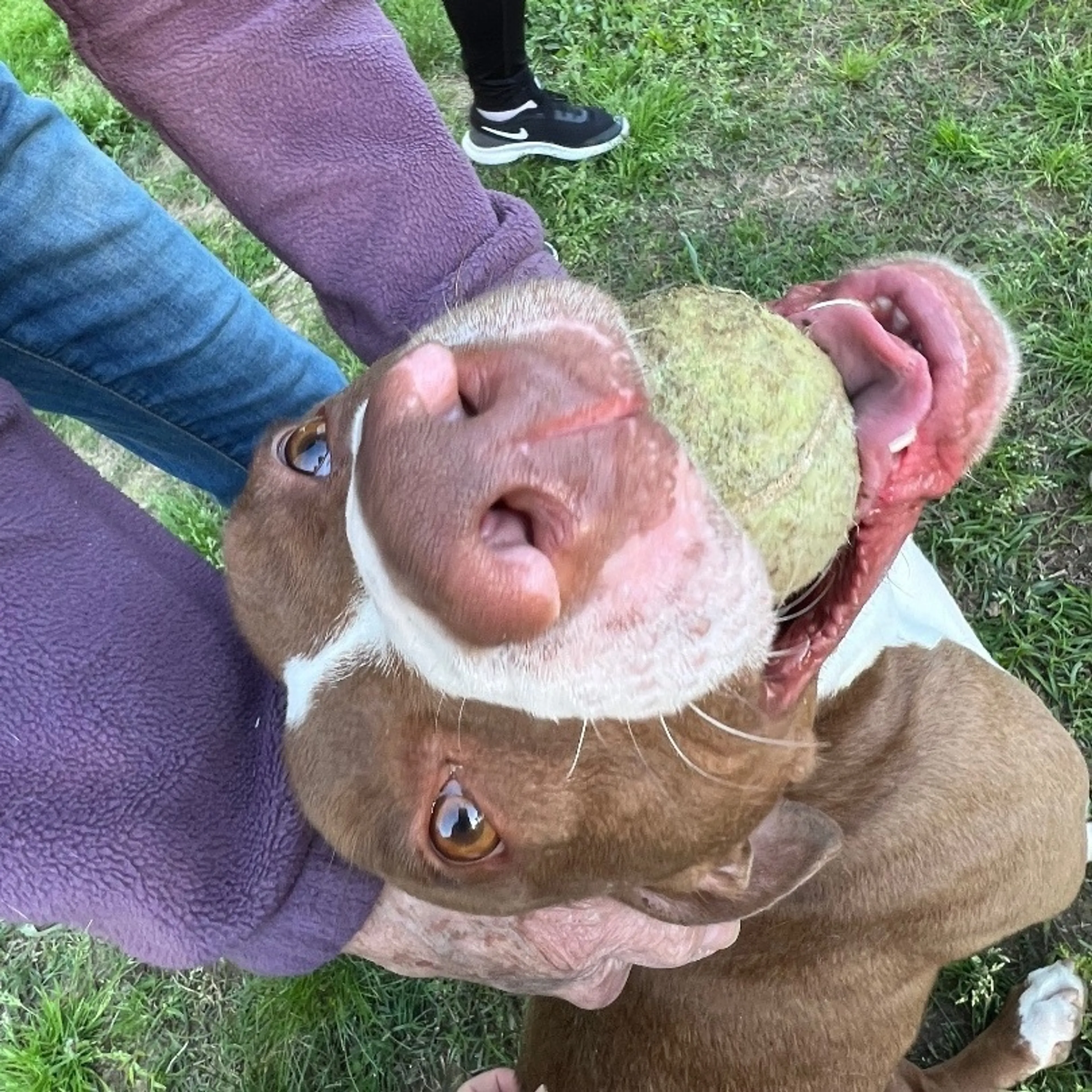 -5