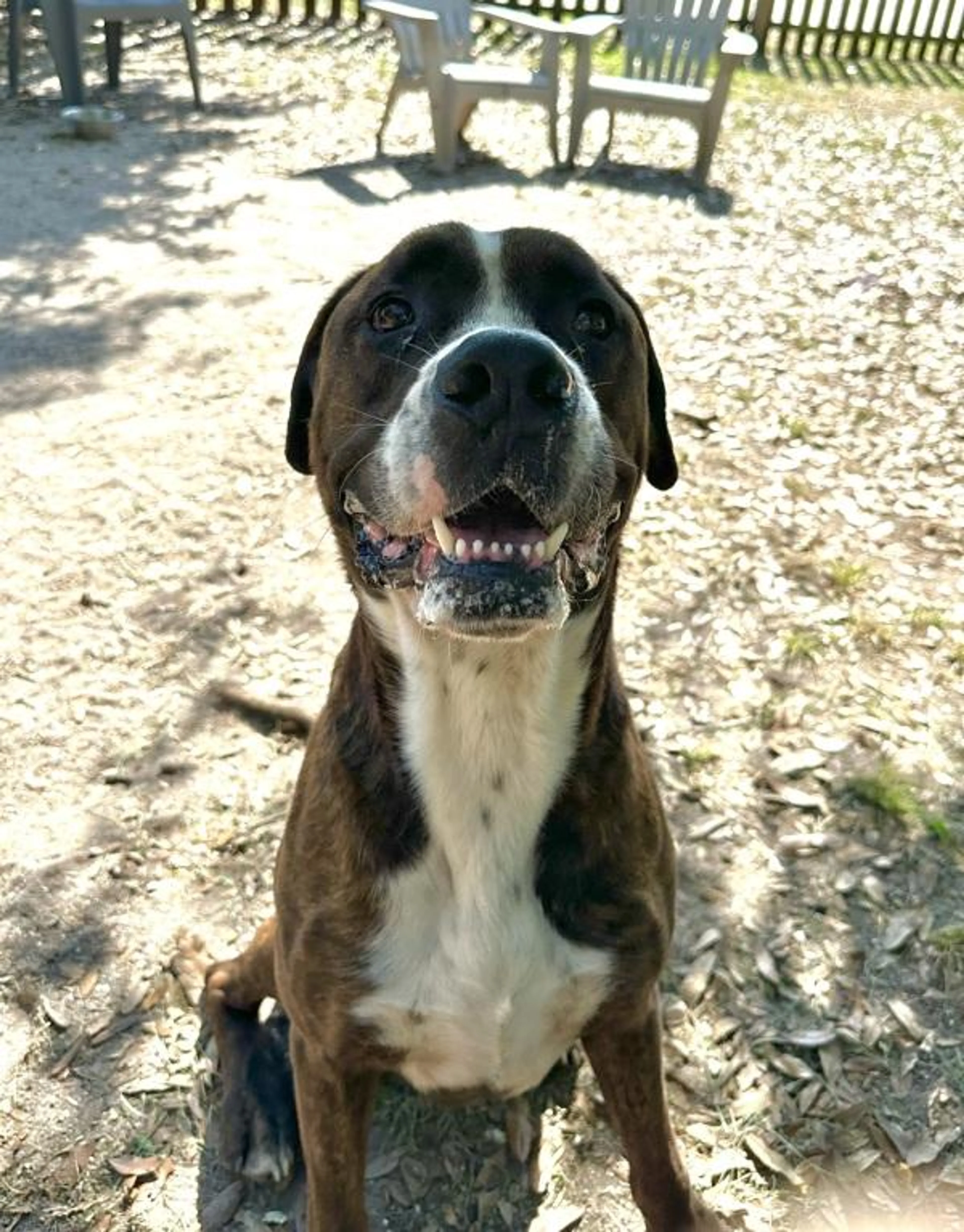 cdn image