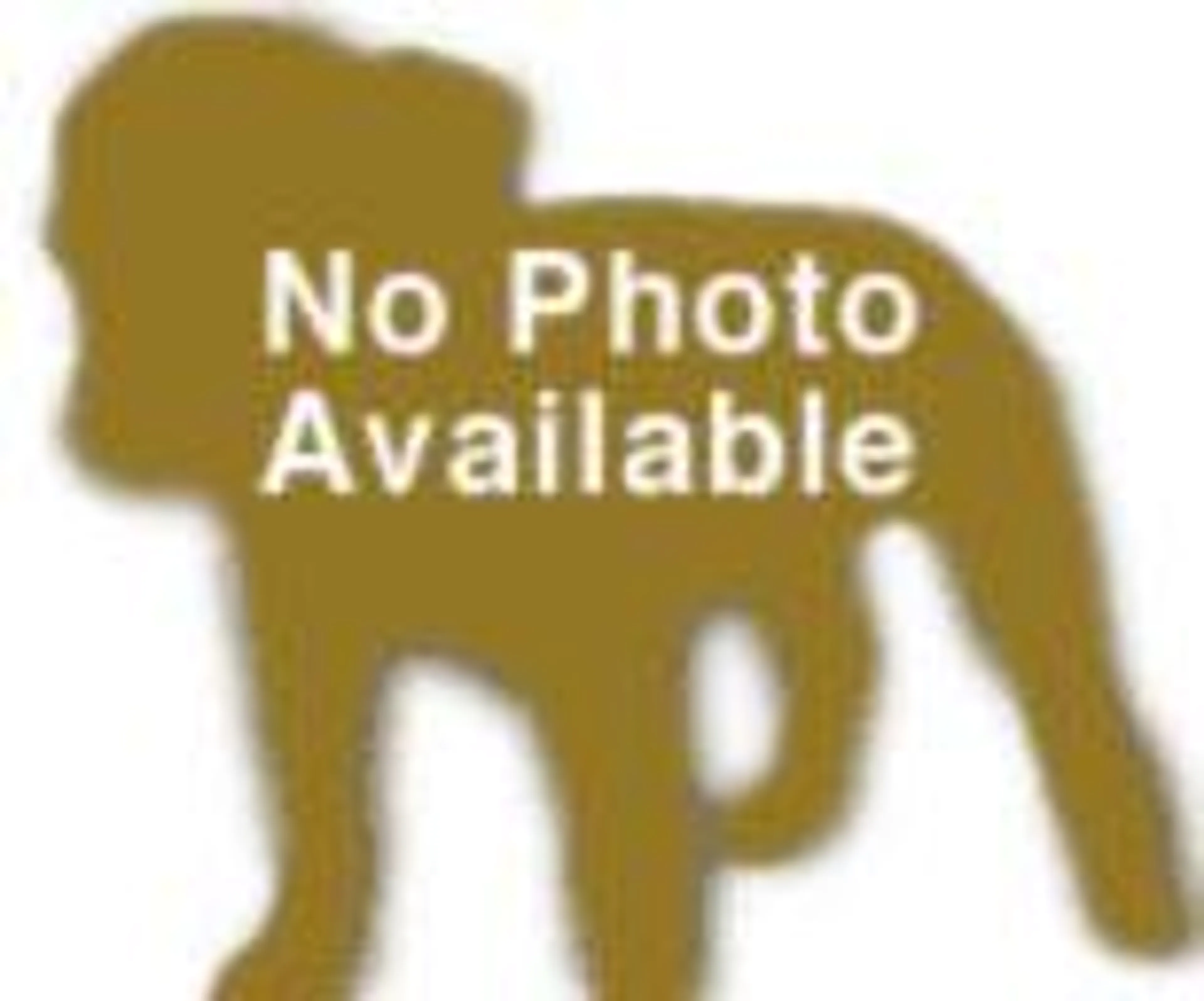cdn image