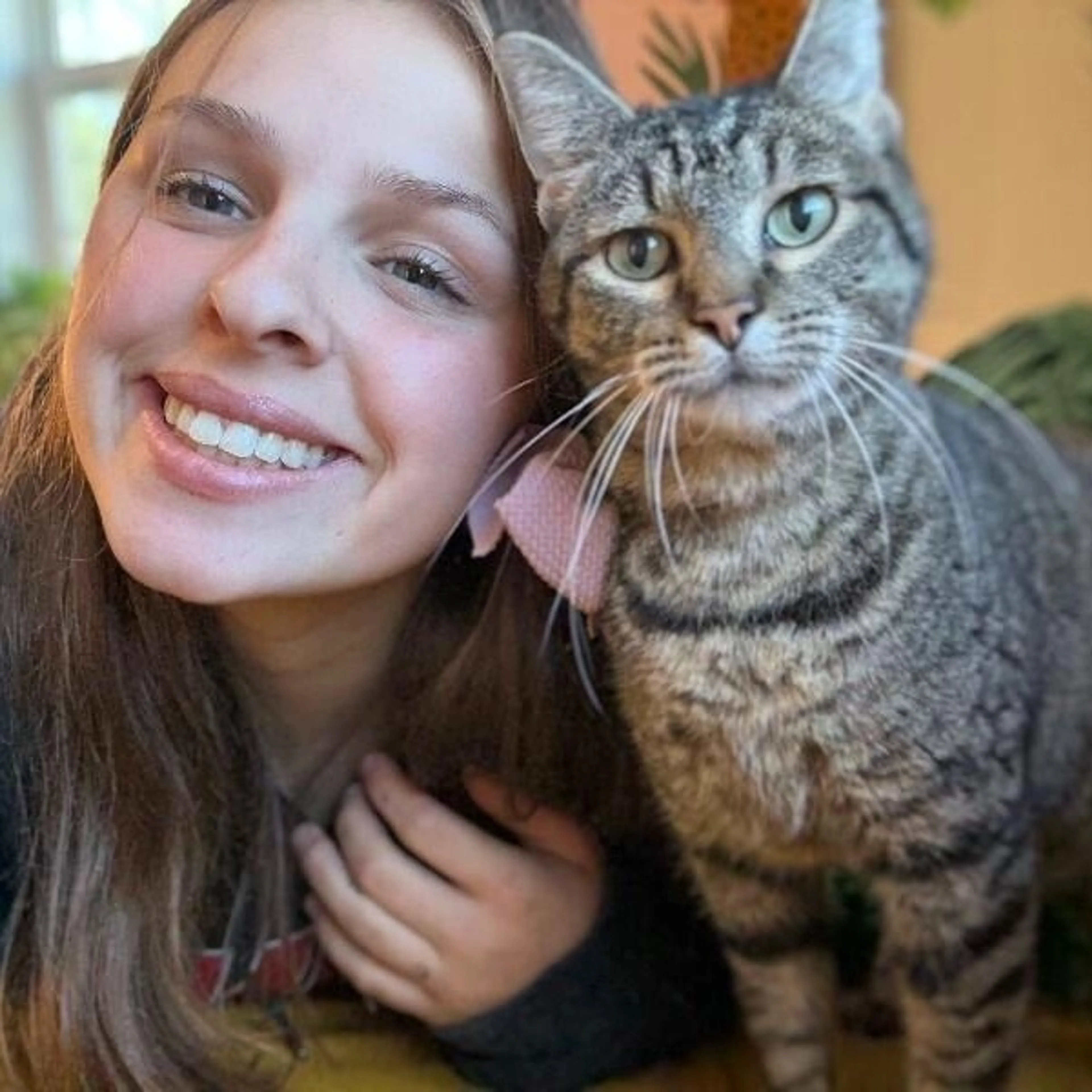 Found pet-3