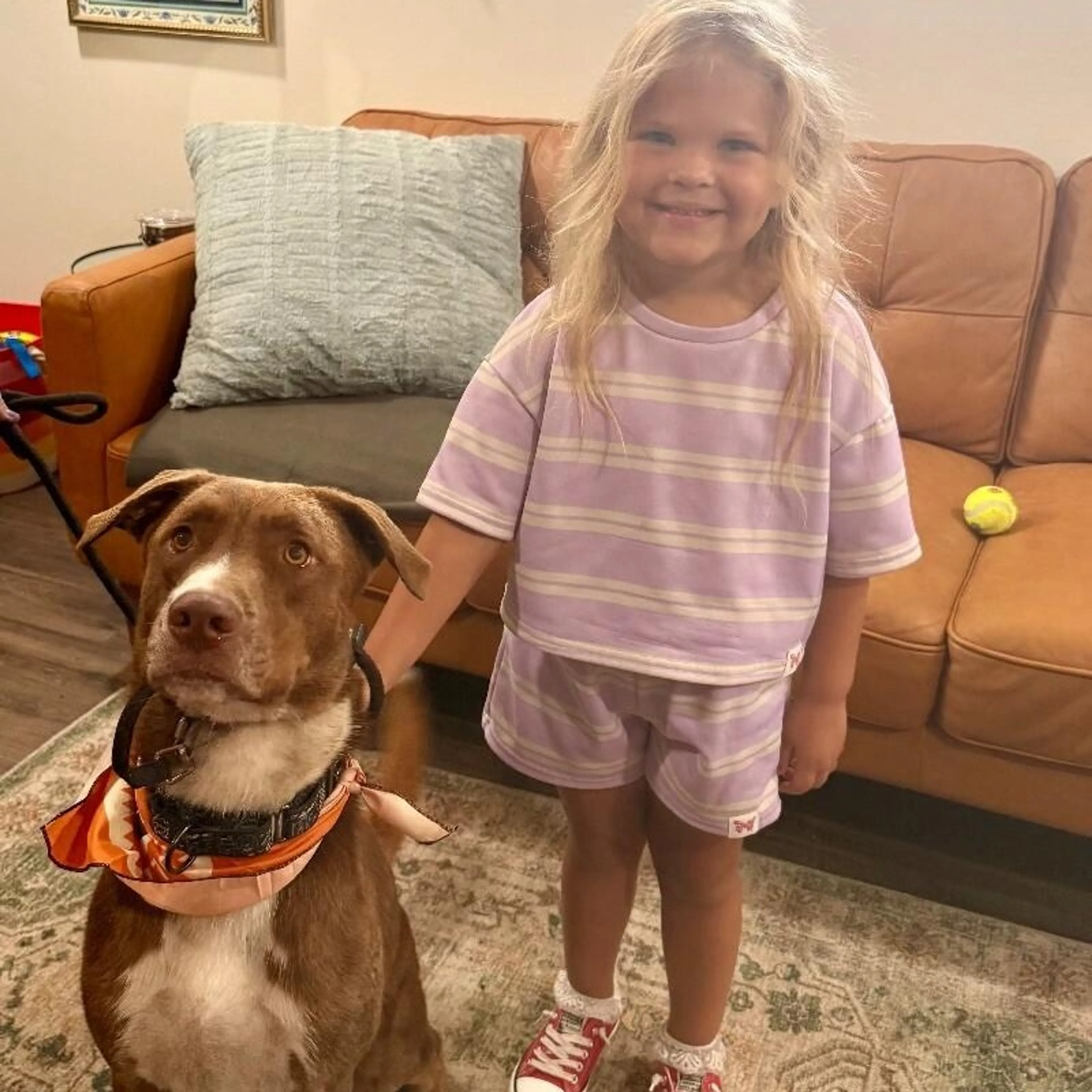 Found pet-2