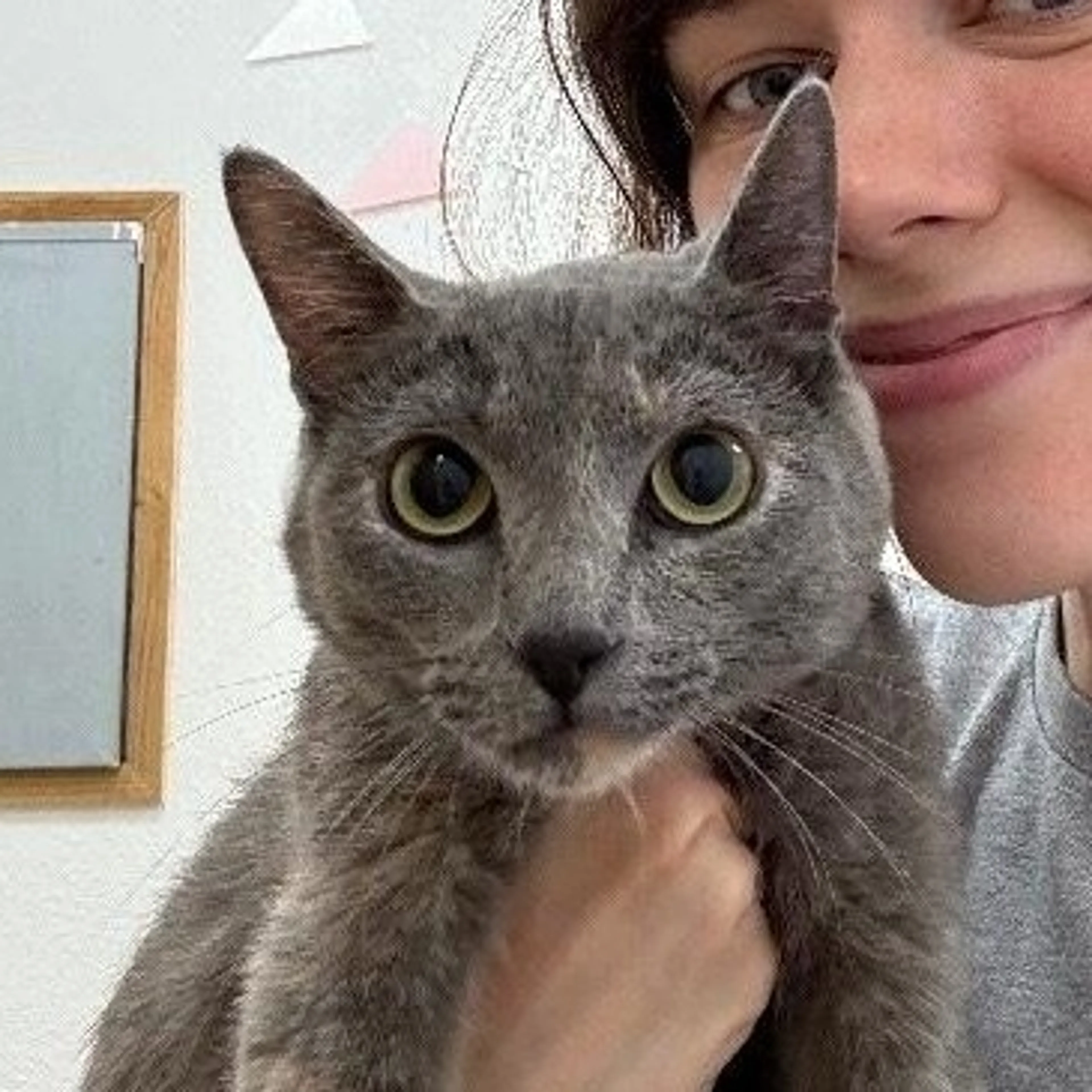 cdn image