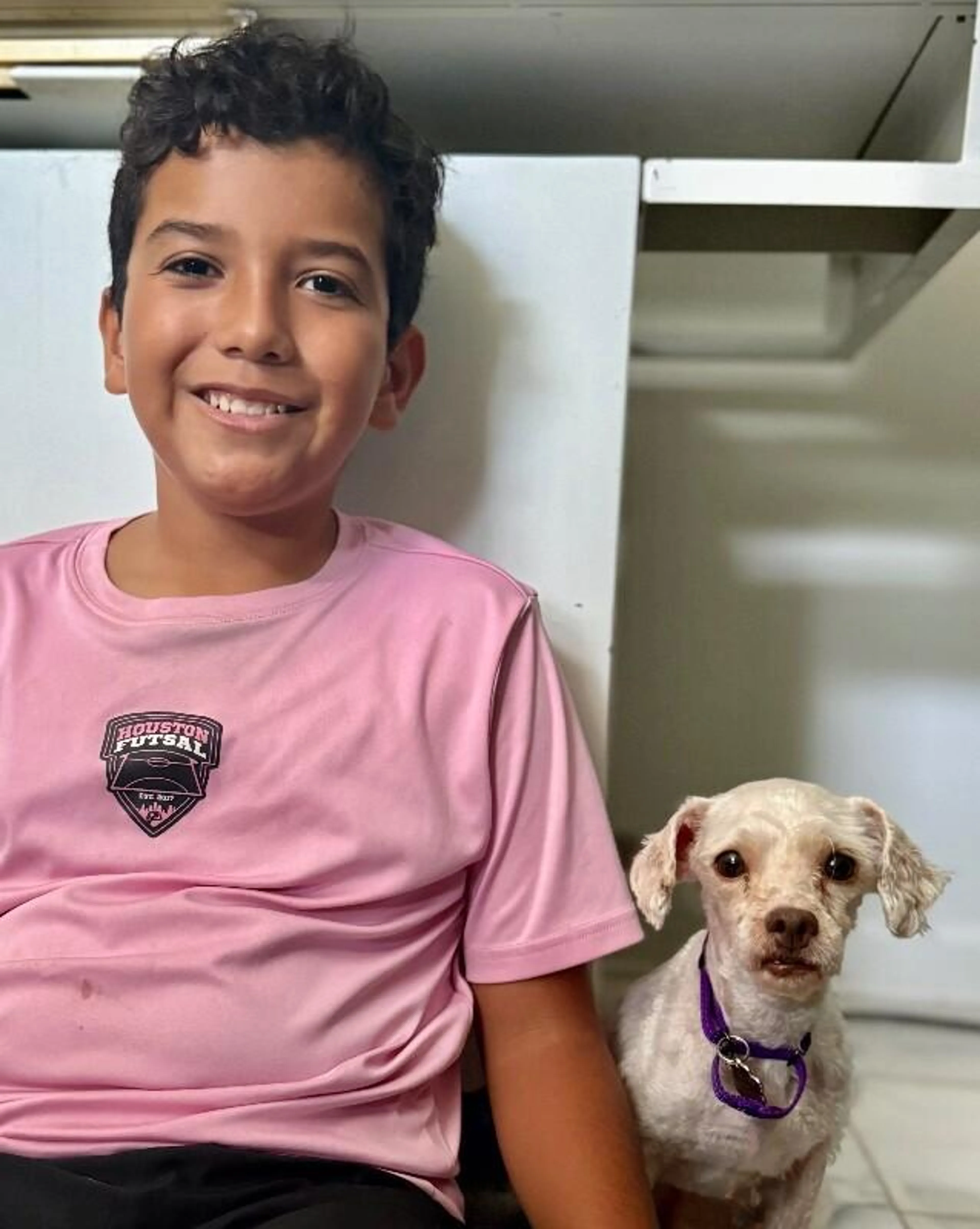 Found pet-4