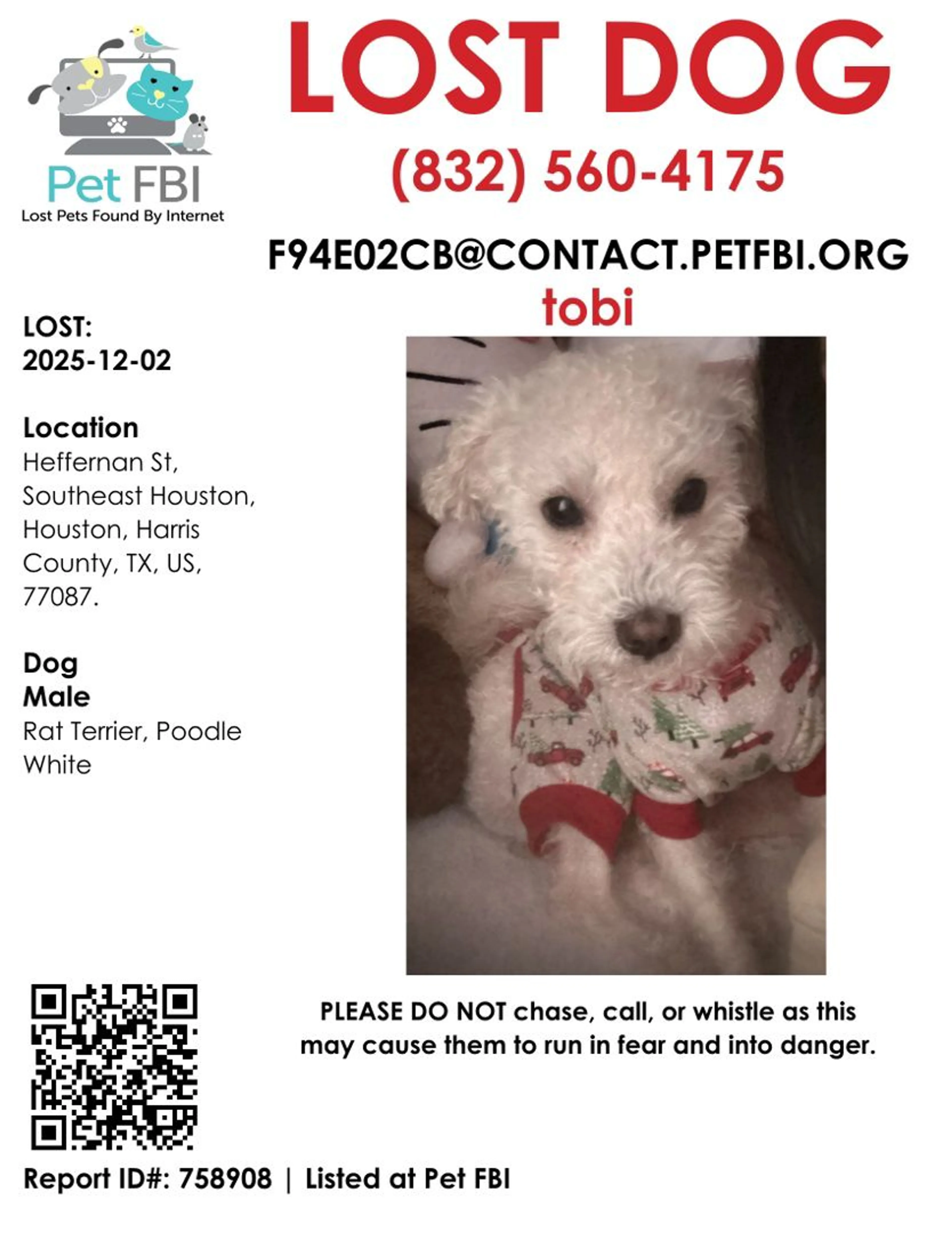 Lost pet