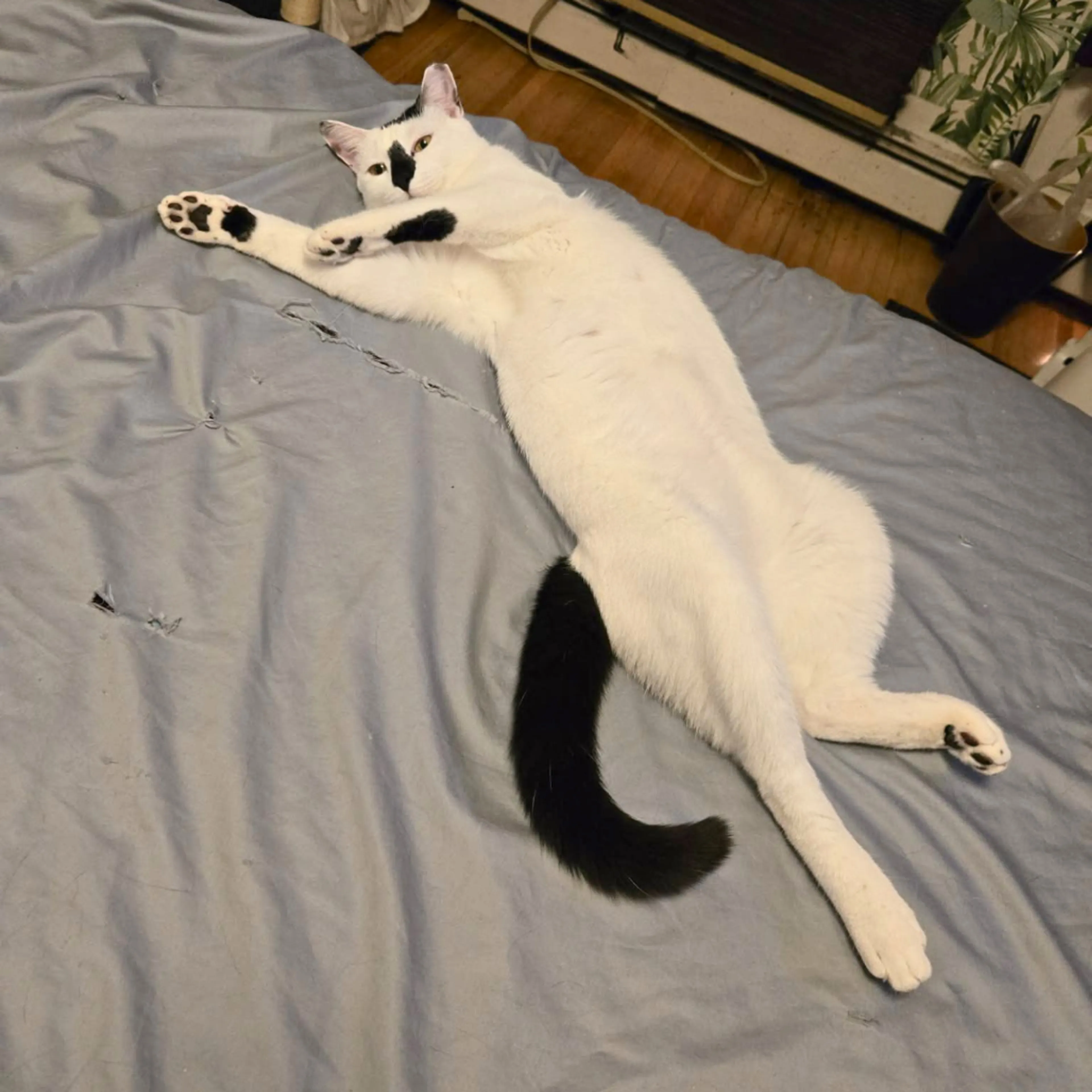 -9