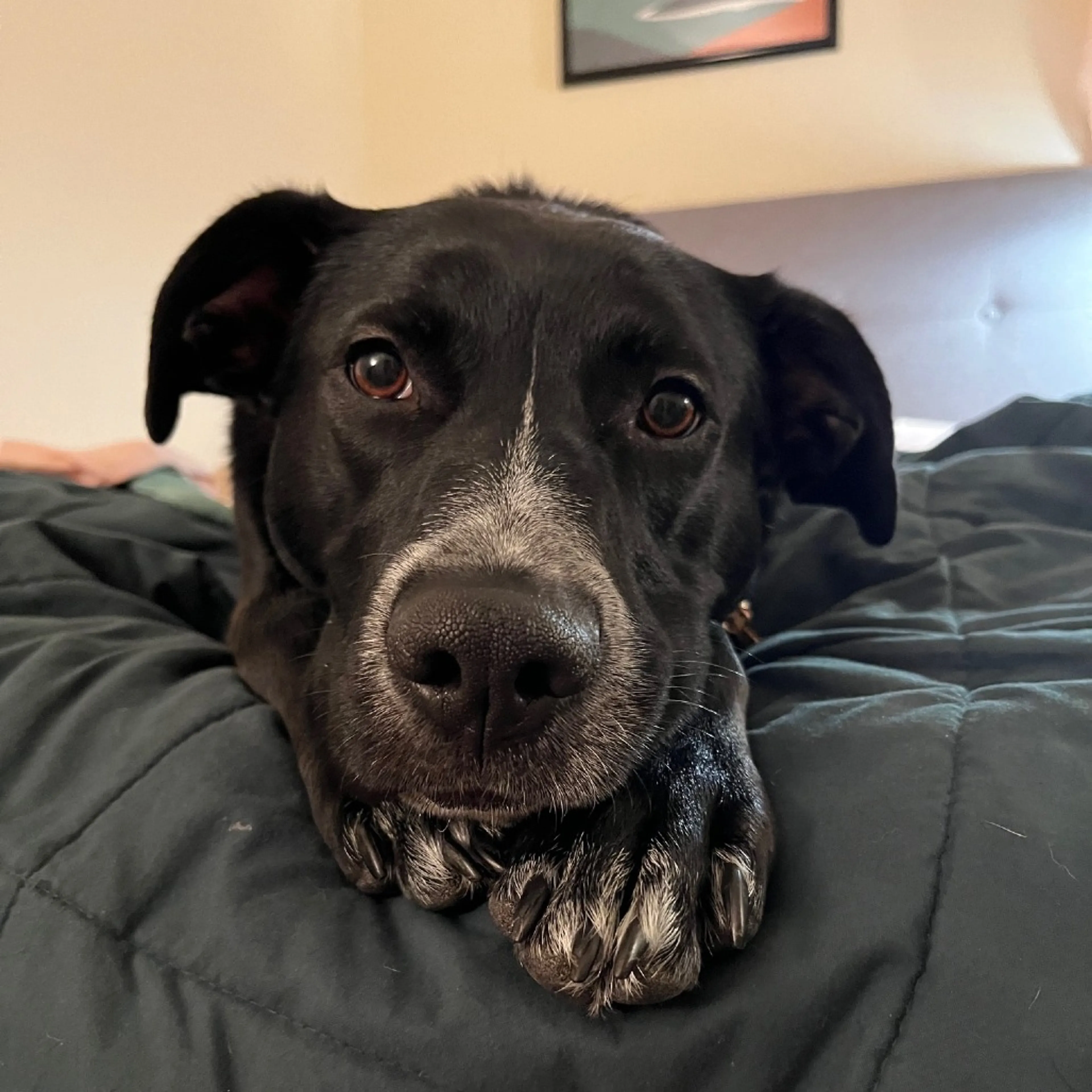 -9
