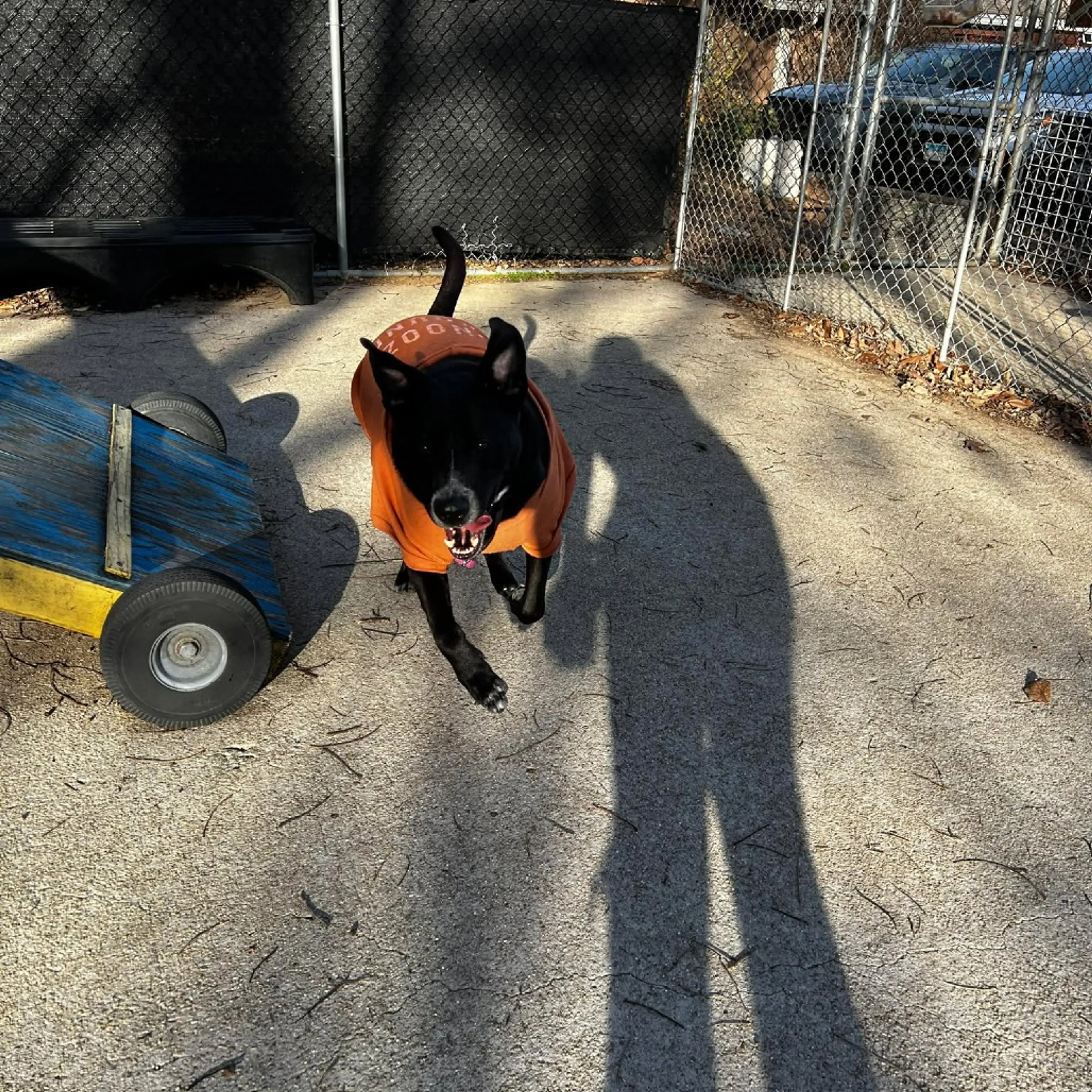 -19