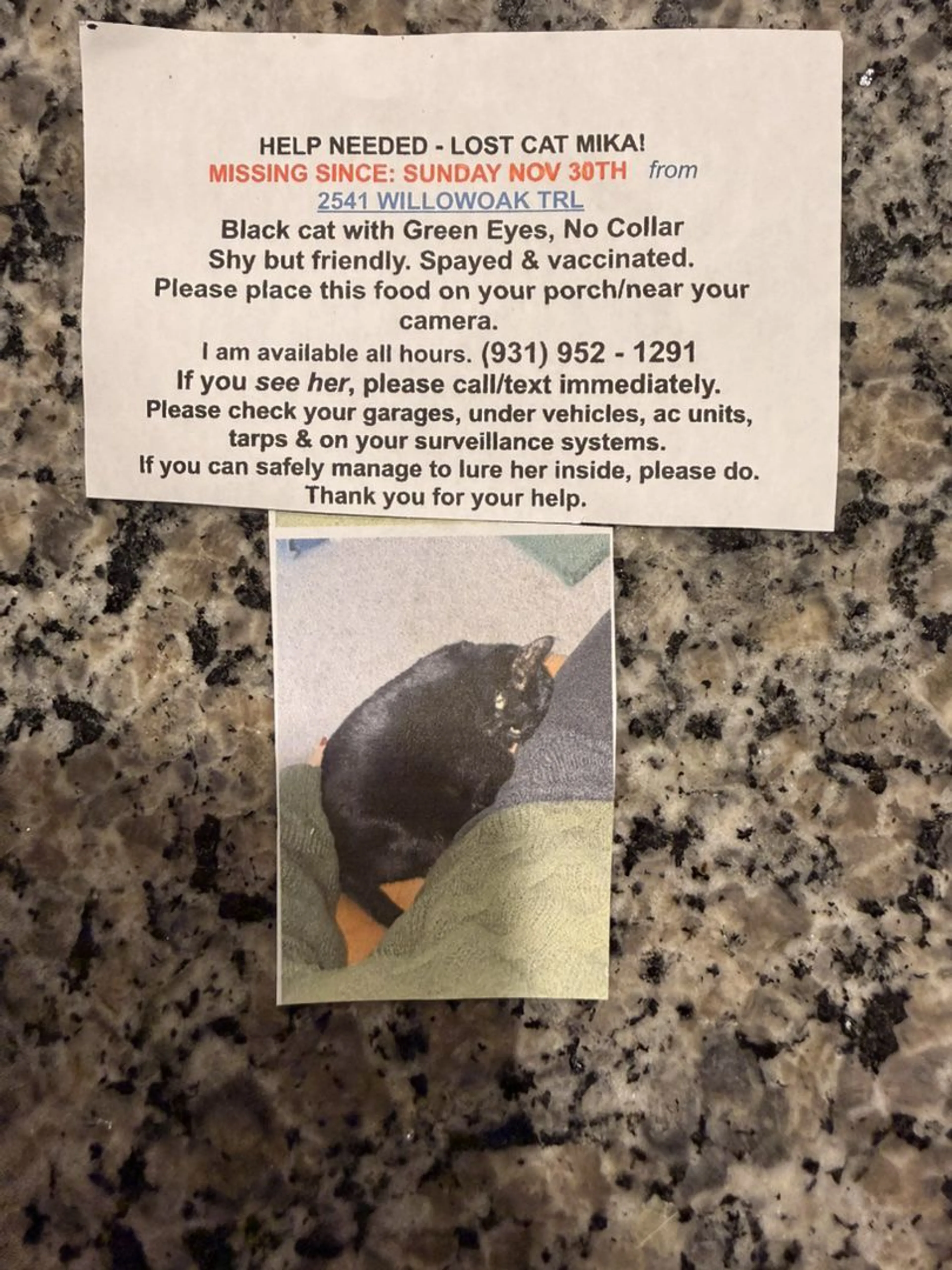 Lost pet
