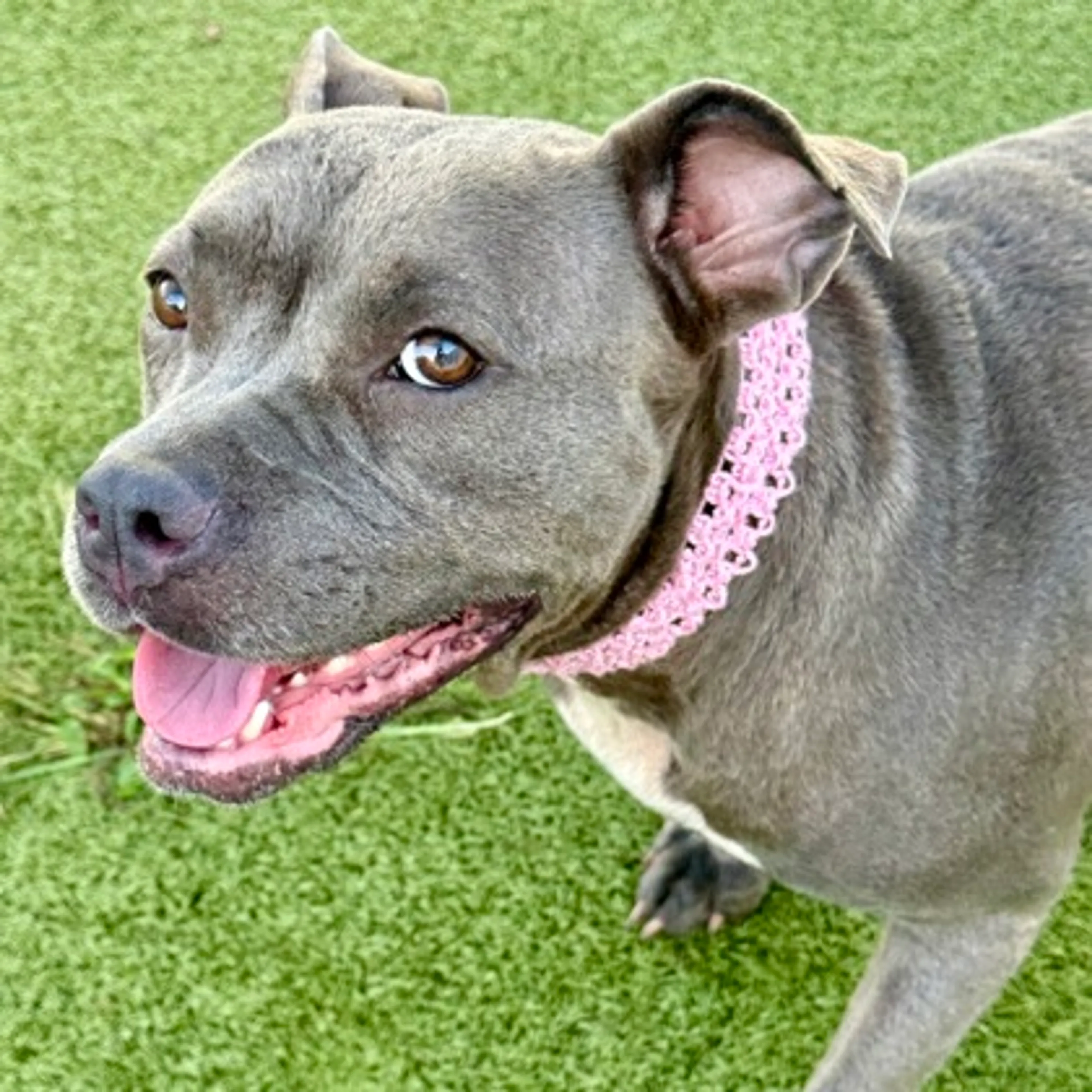 -2
