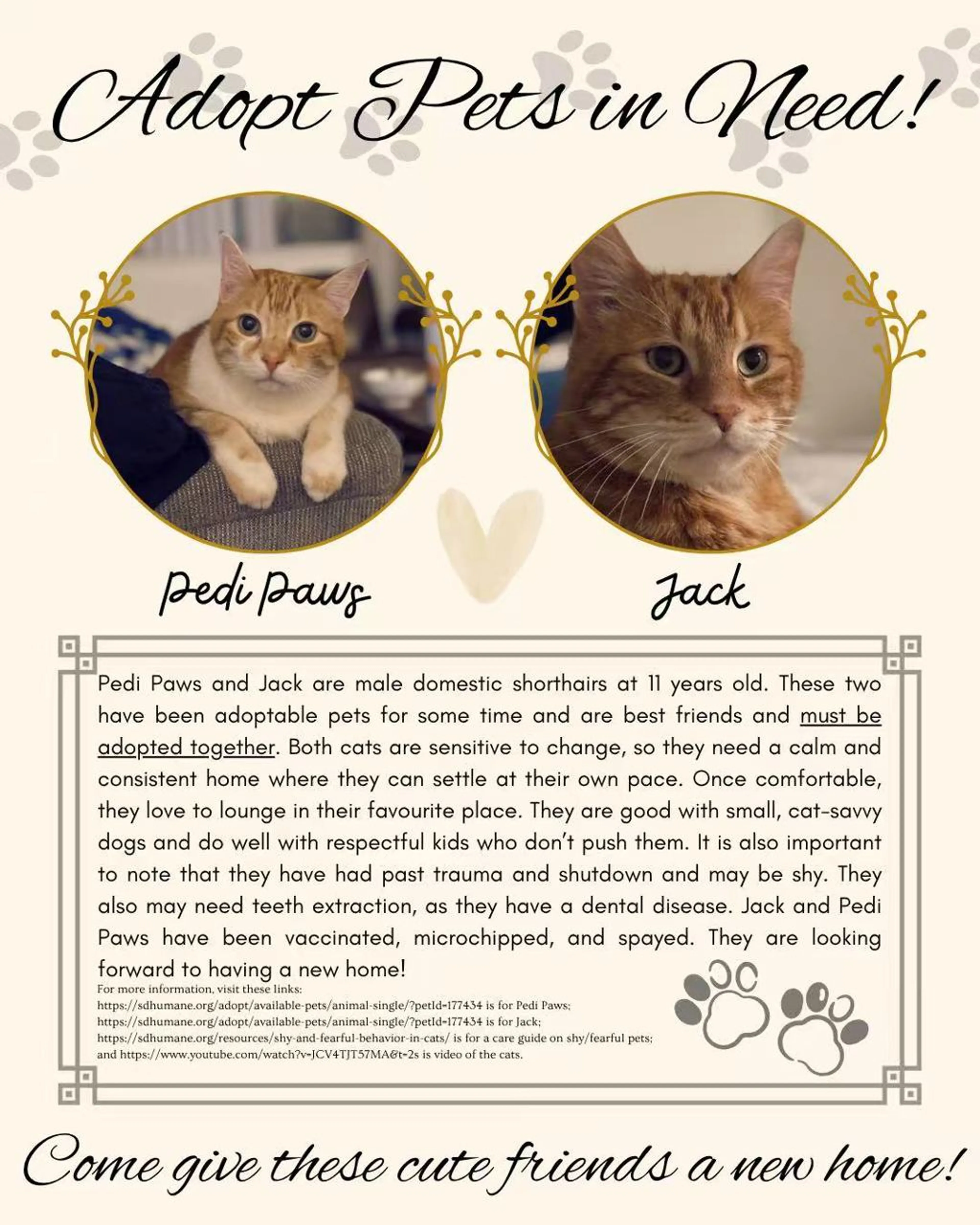 Found pet-1