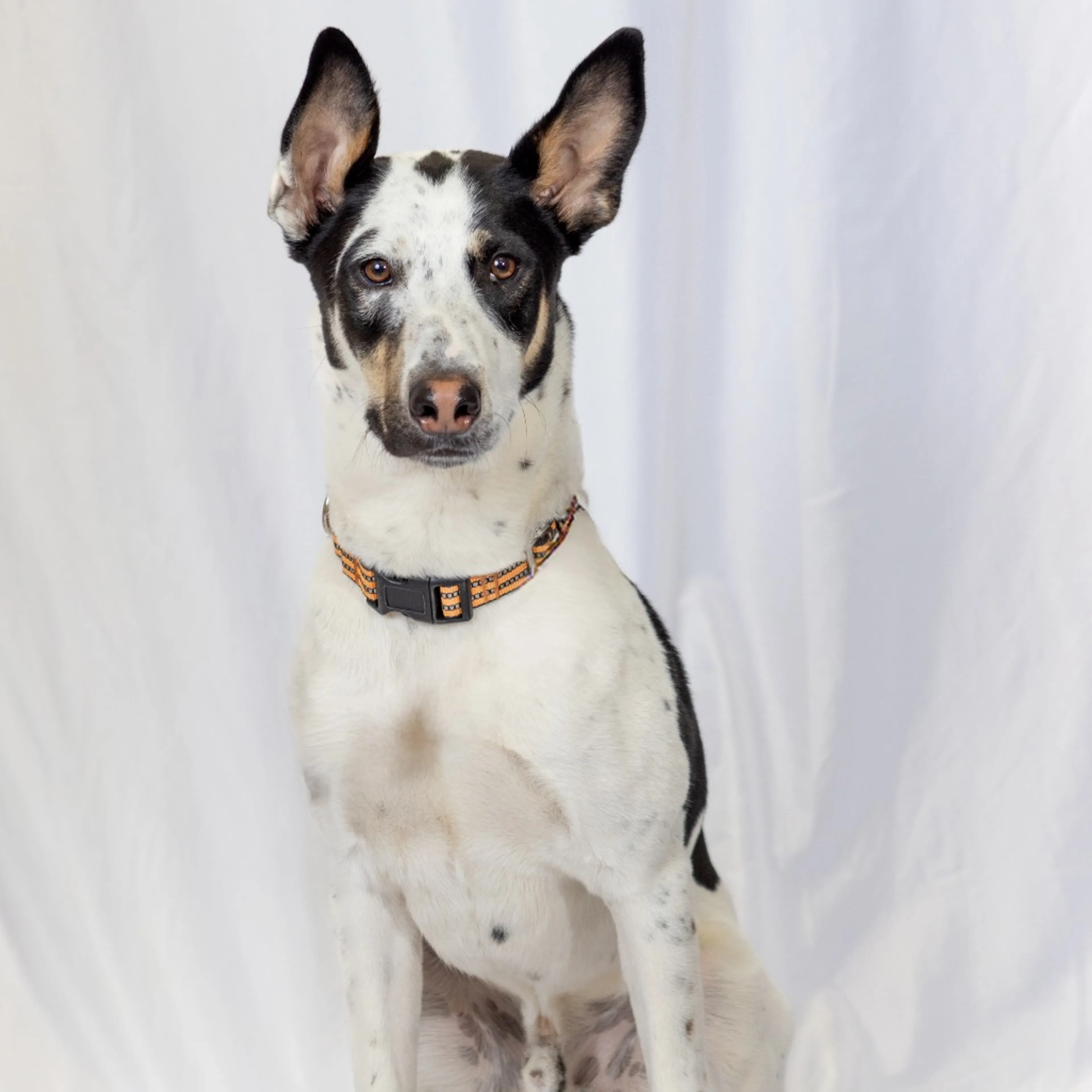 -33