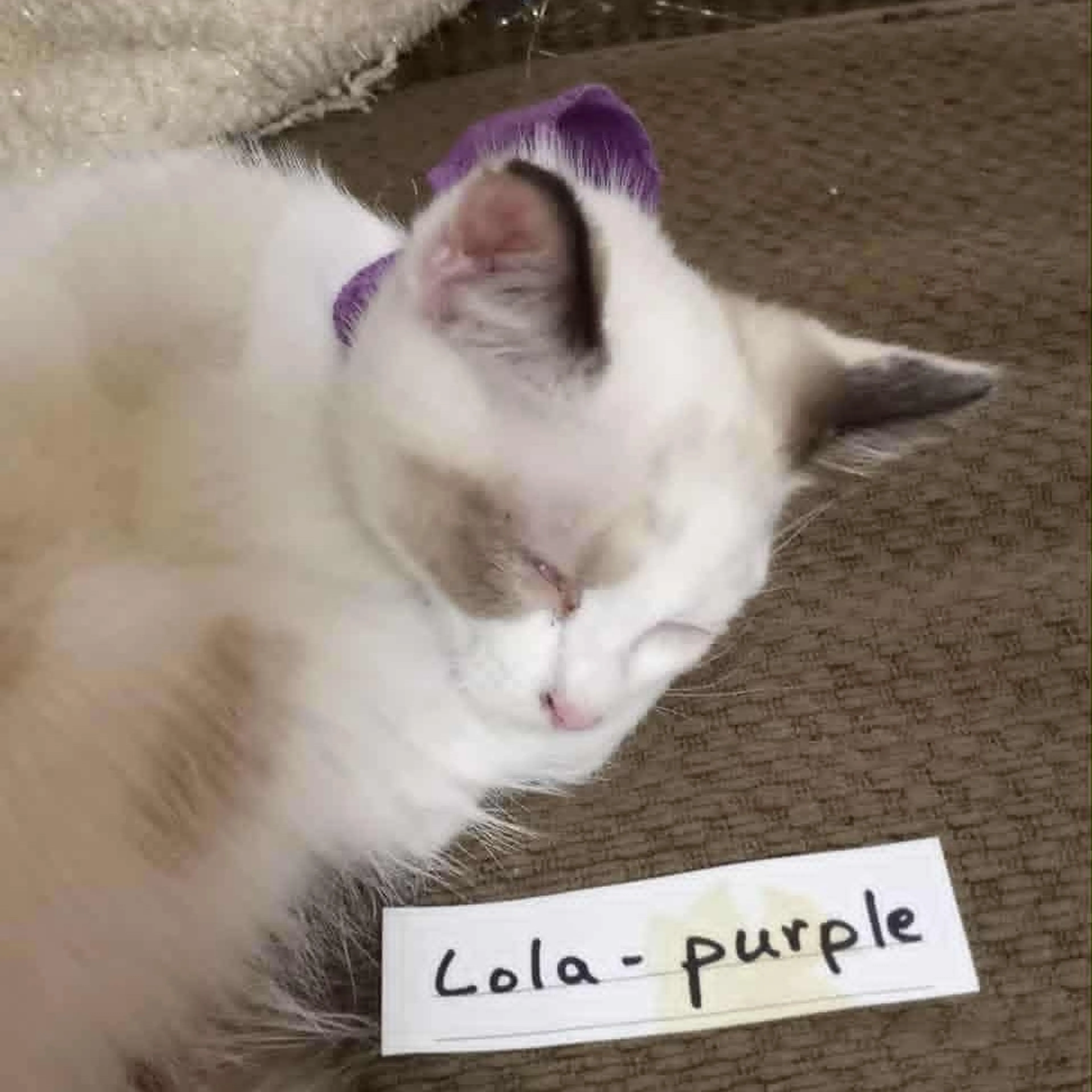 -1