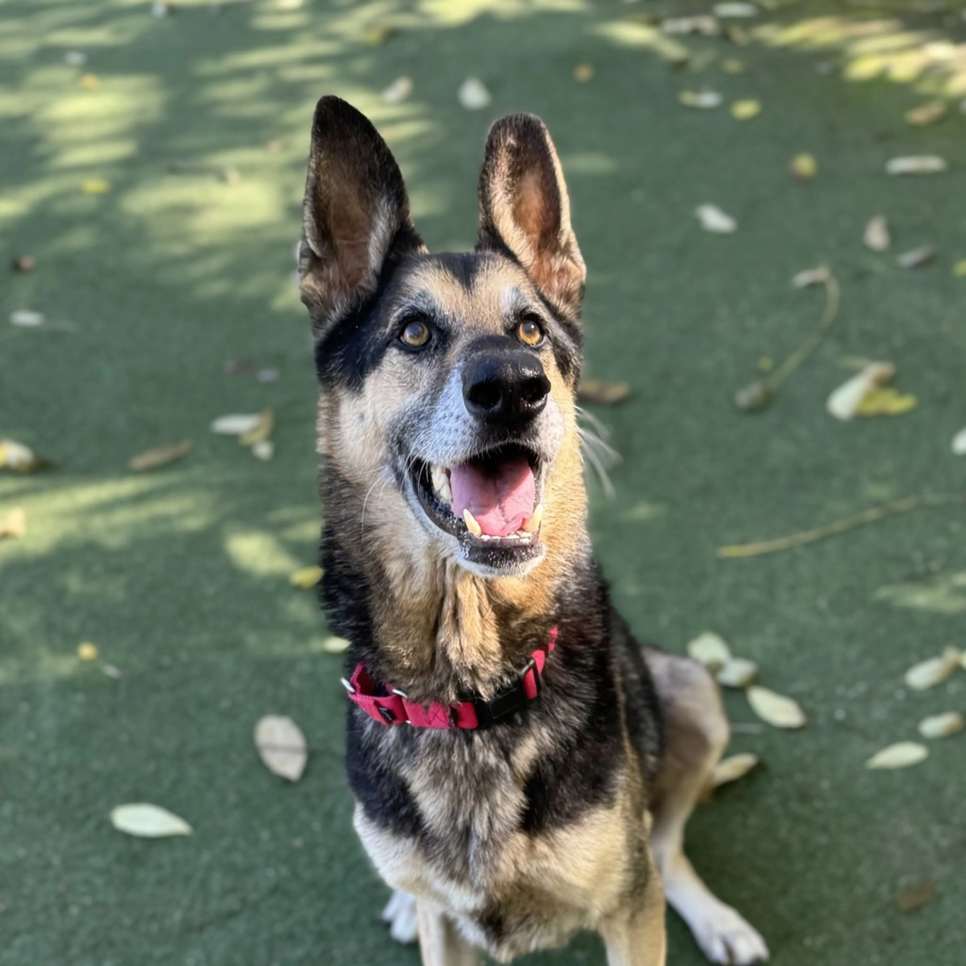 -3