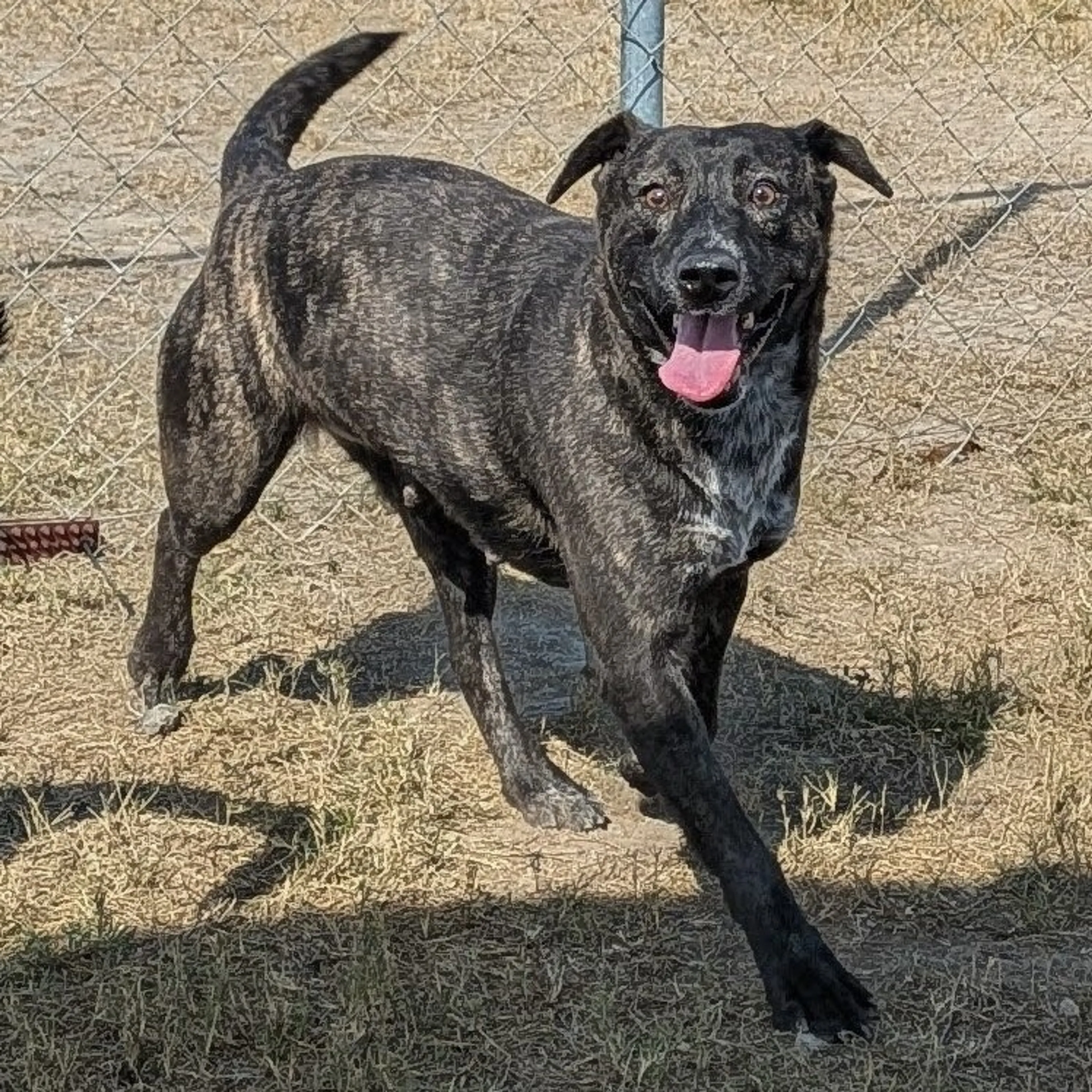 -3