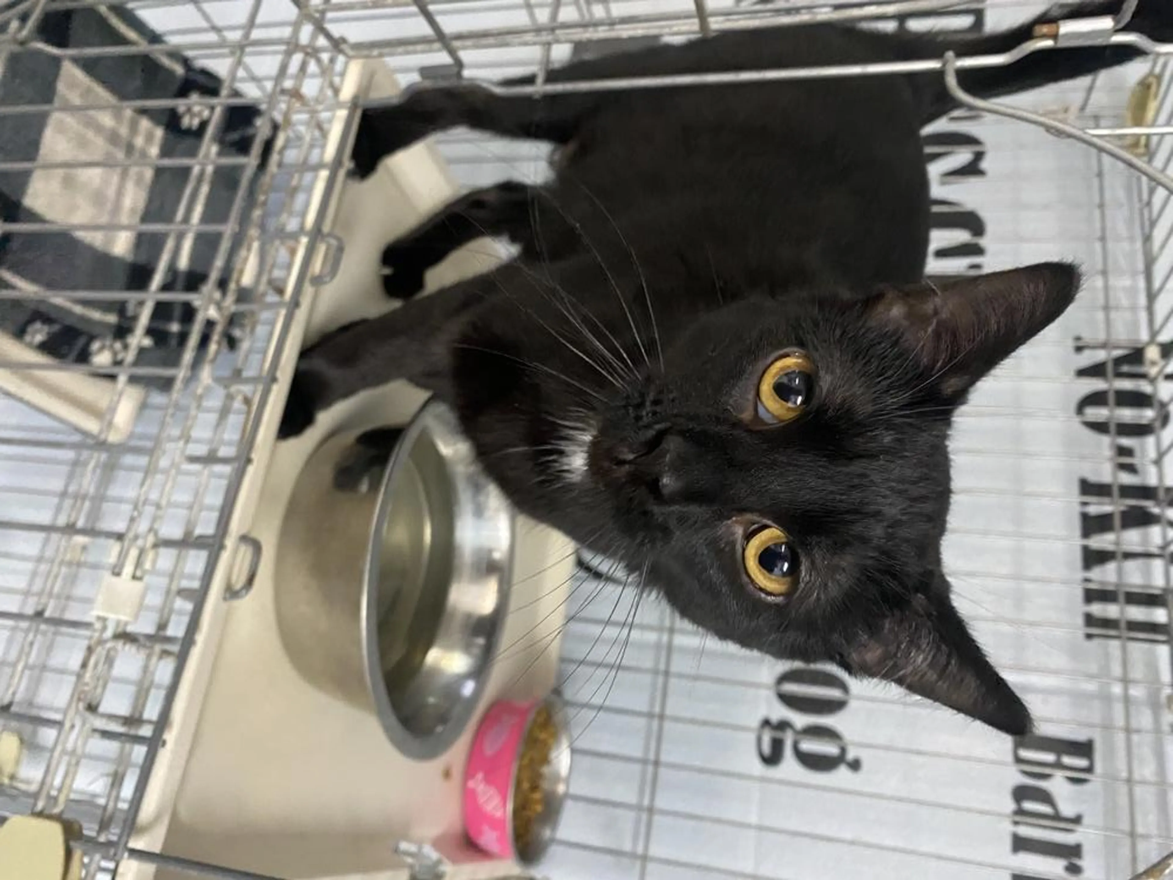 -1