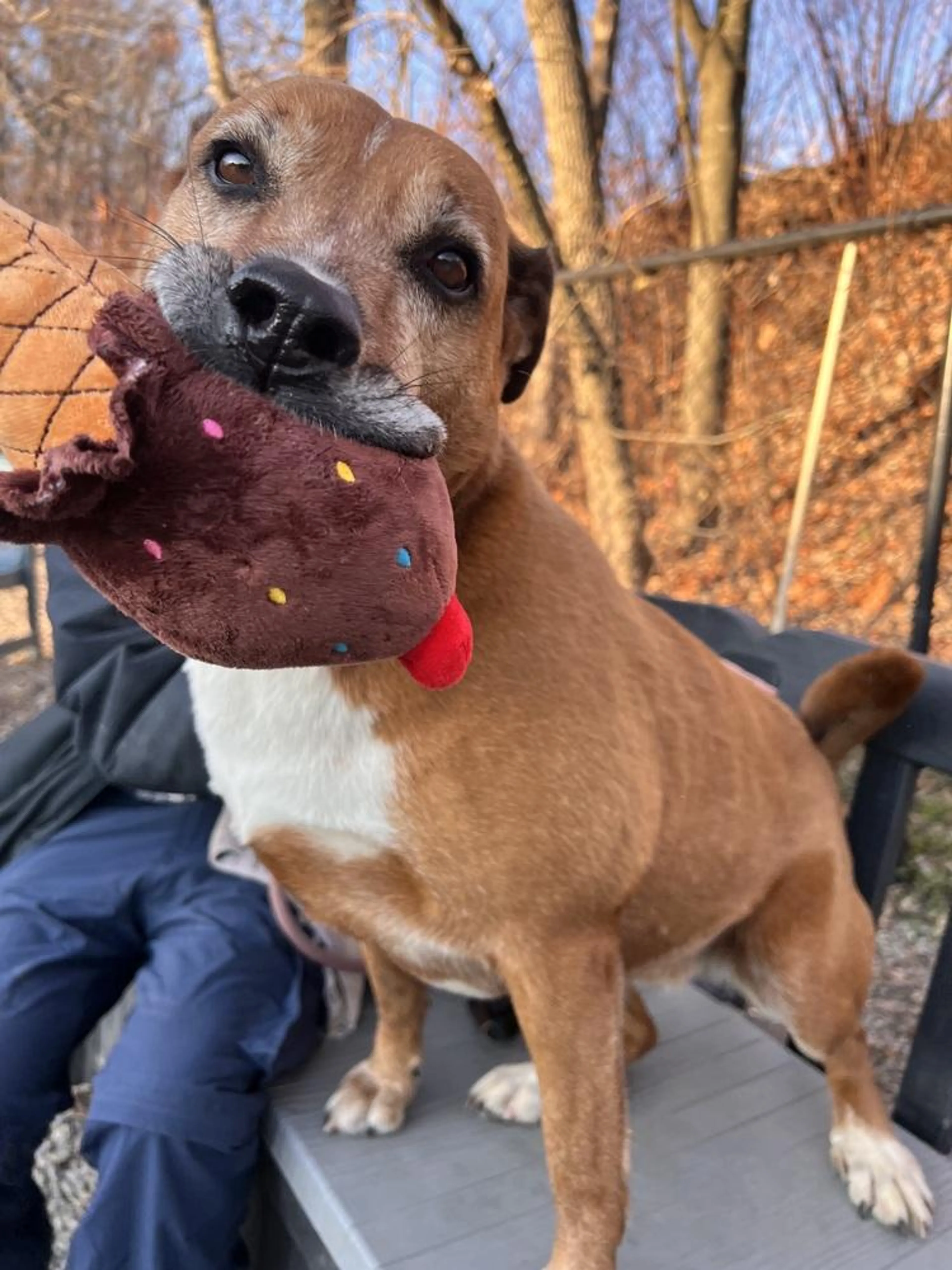 -4