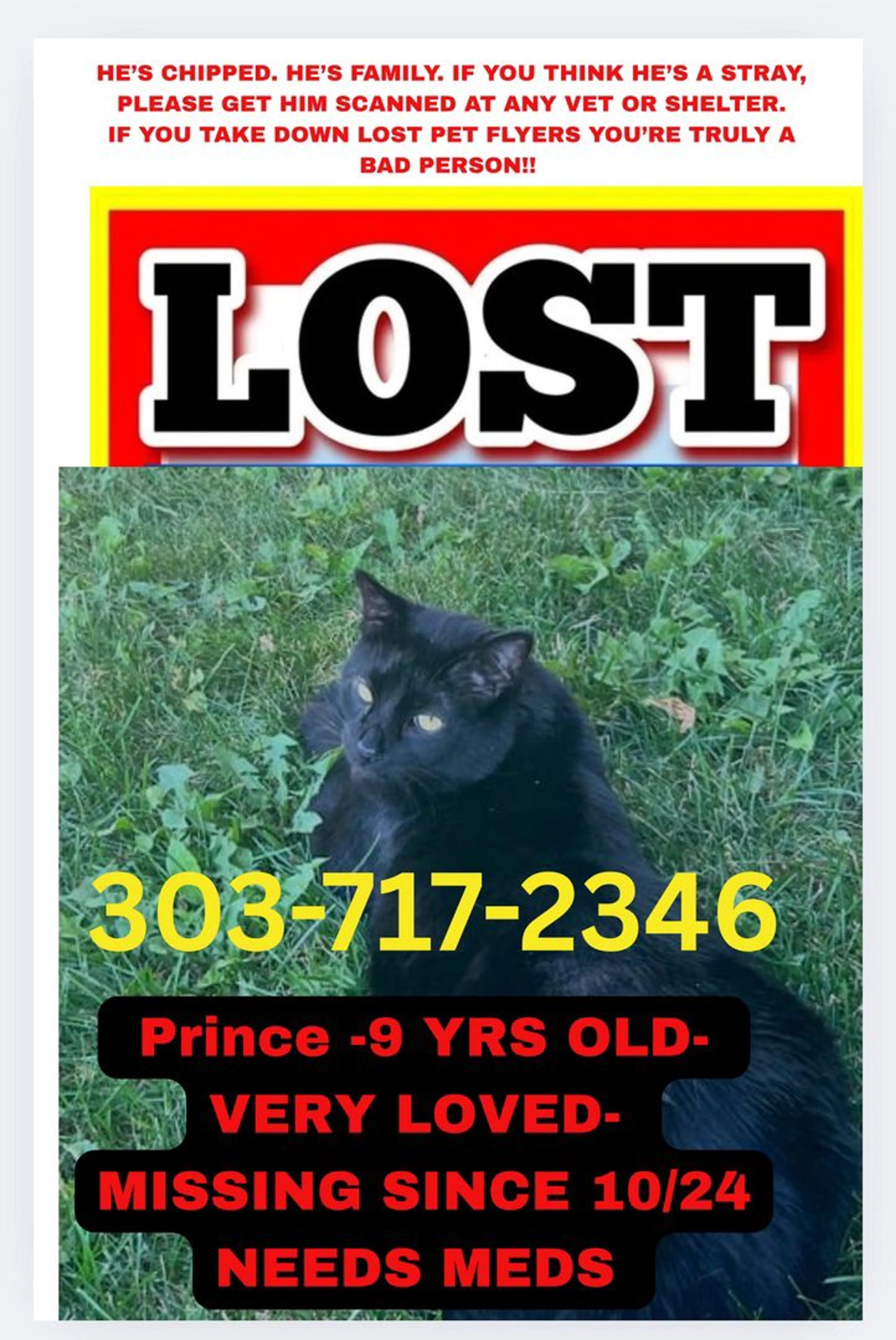 Lost pet