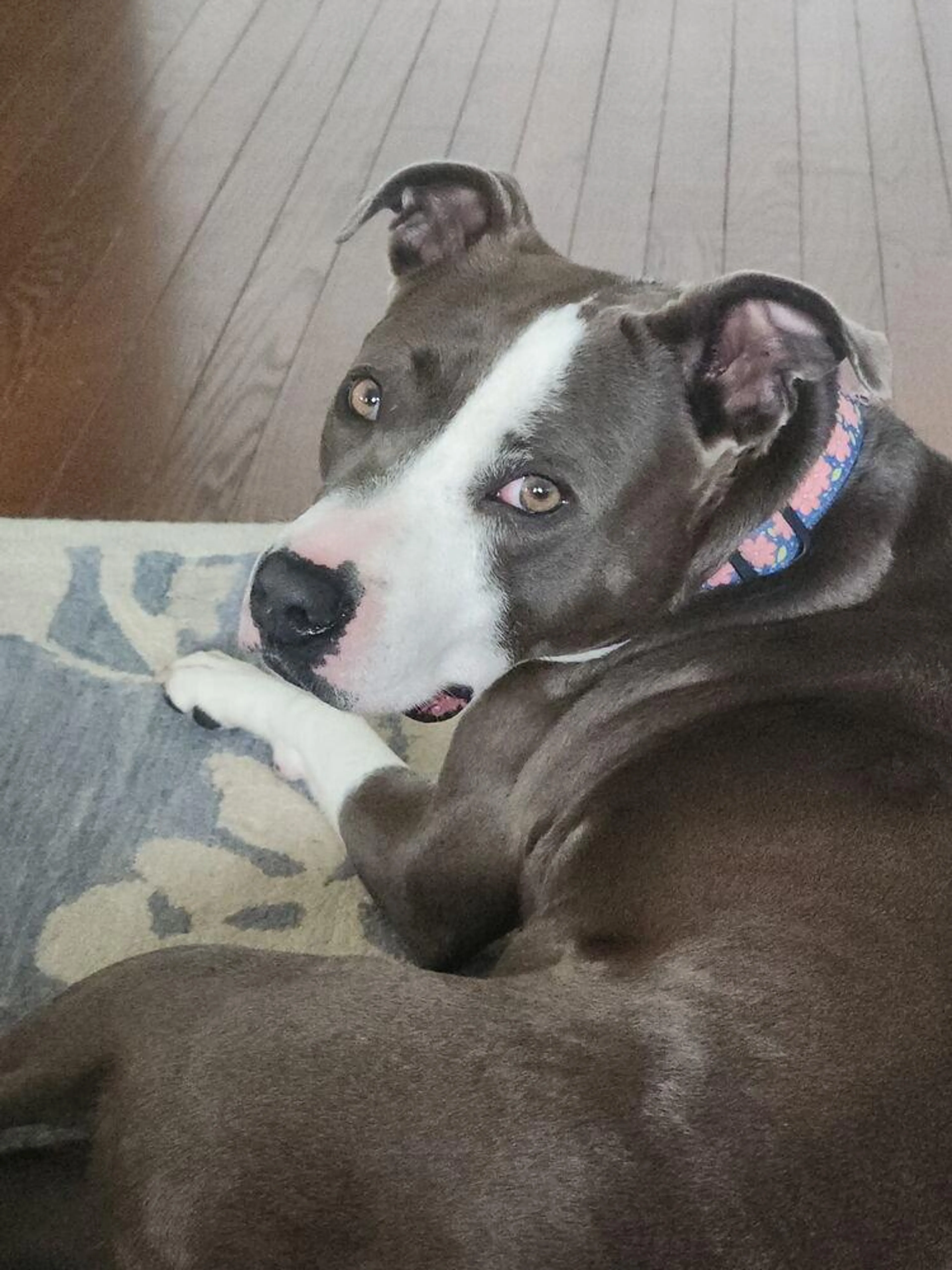 -4