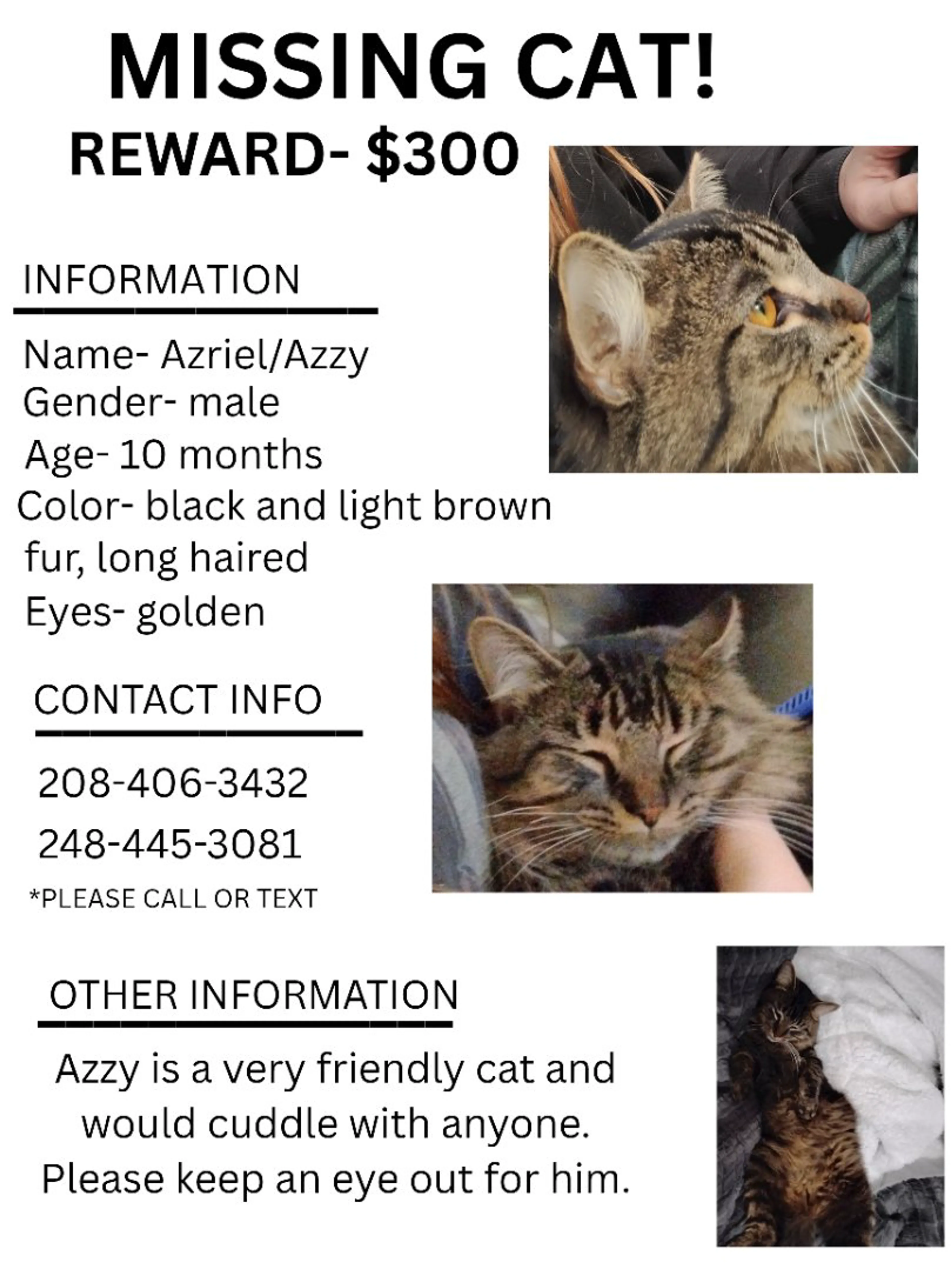 Lost pet-4