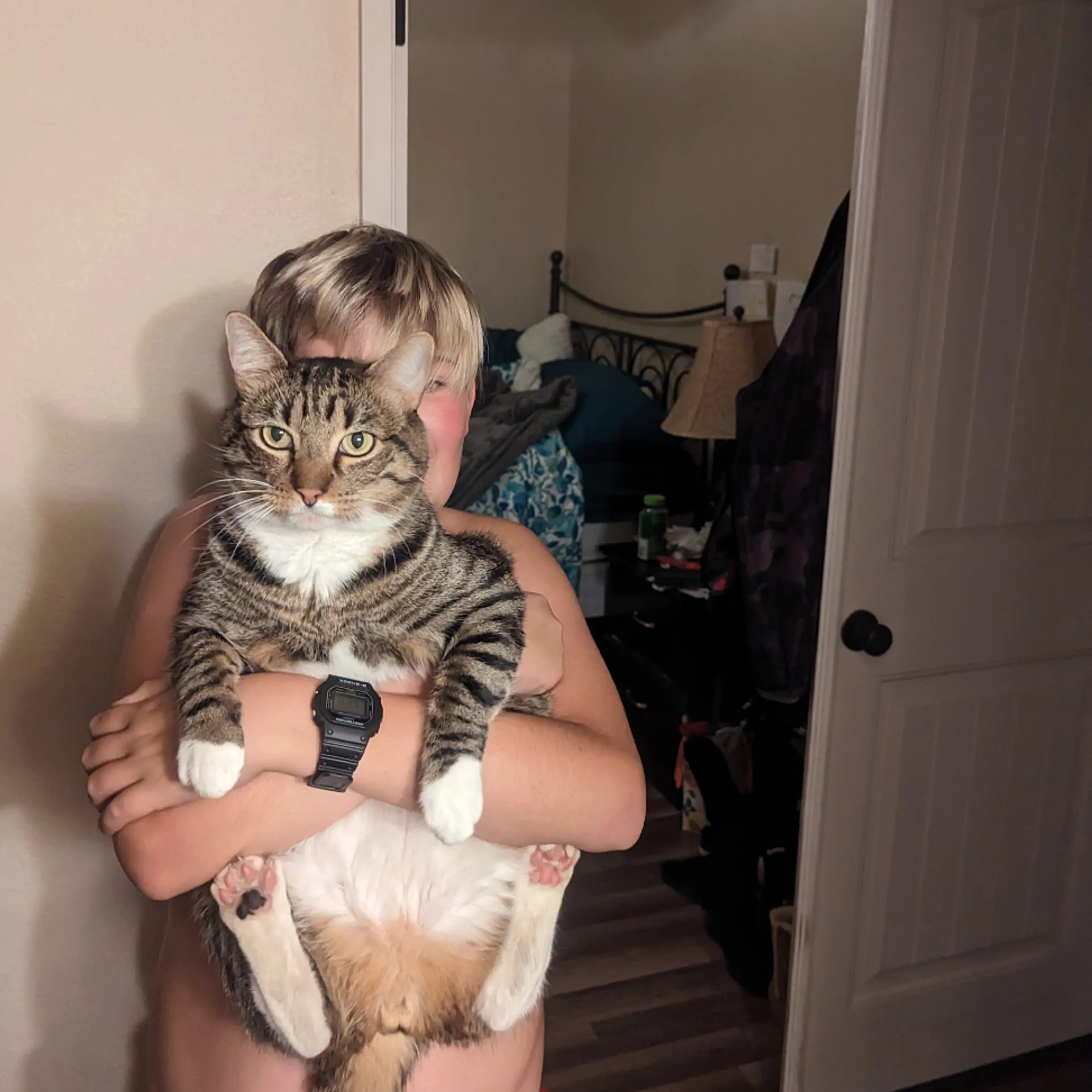 Lost pet-3