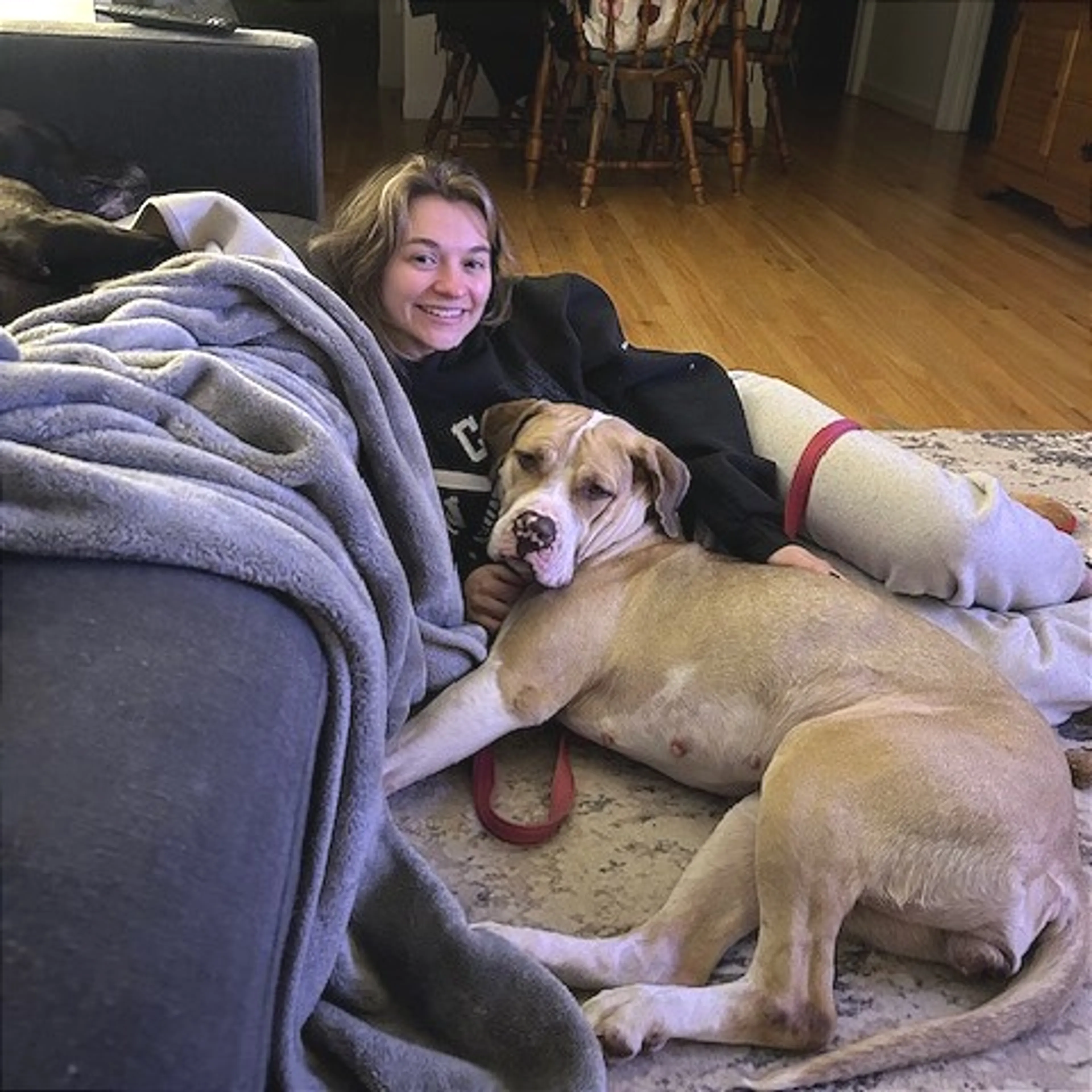 Found pet-5